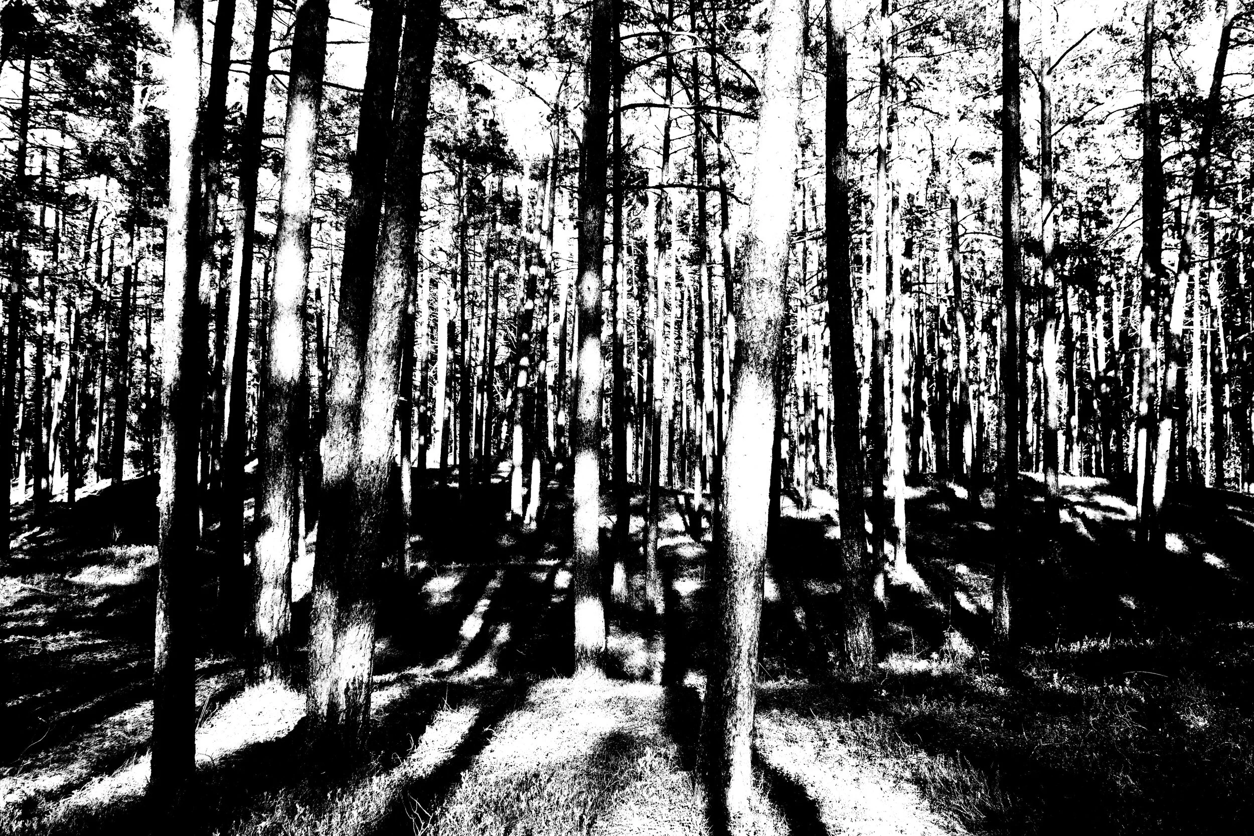 _MG_6925.jpg