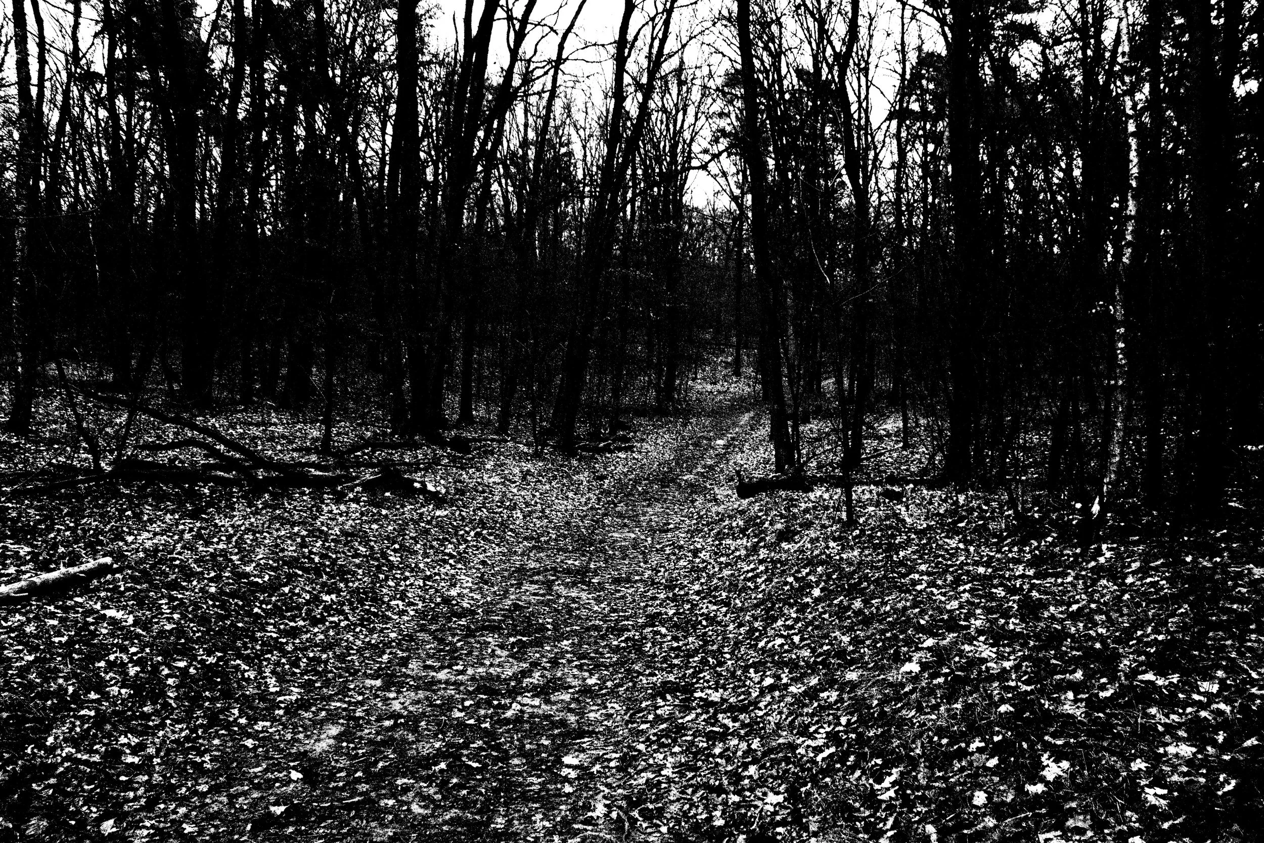 _MG_5715.jpg