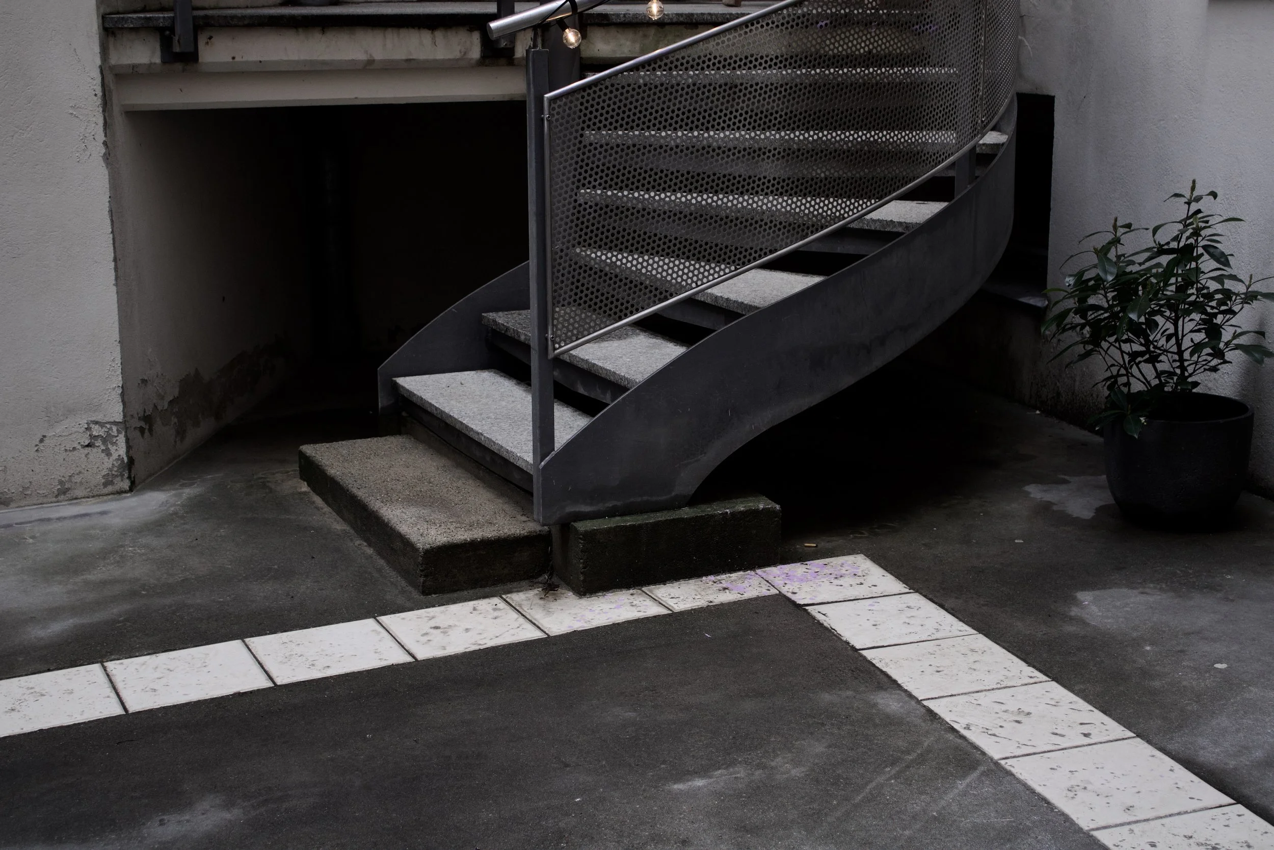 A staircase with metal railings and perforated metal sides leads up to a small landing outside a building. The stairs are made of concrete with a textured surface. To the right of the stairs, there is a potted plant with dark green leaves, and the bu