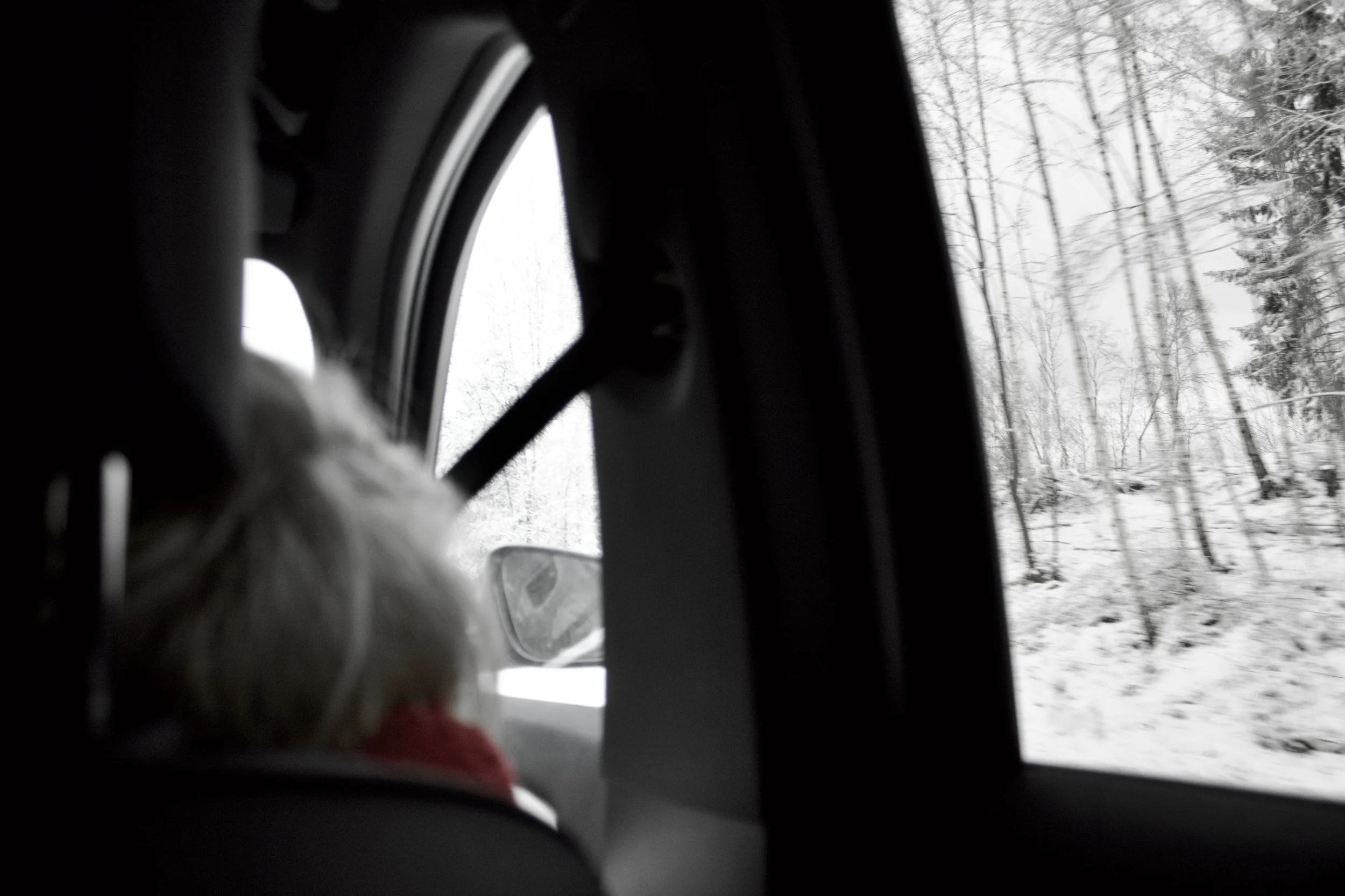 View from the inside of a vehicle looking out through the window at snow-covered trees during winter.