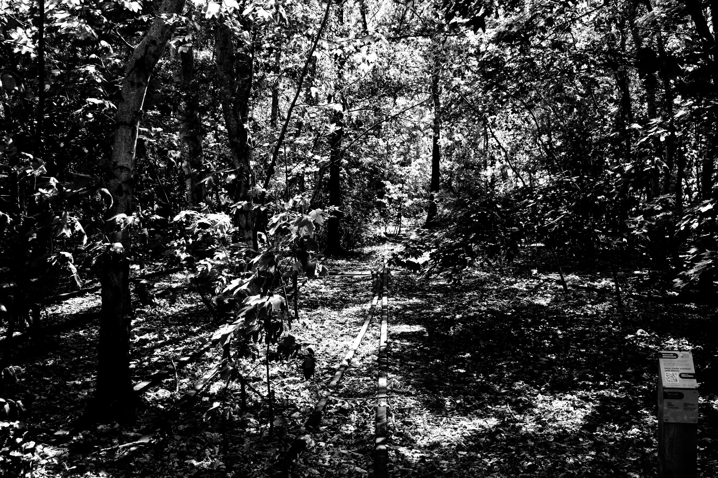 _MG_6977.jpg