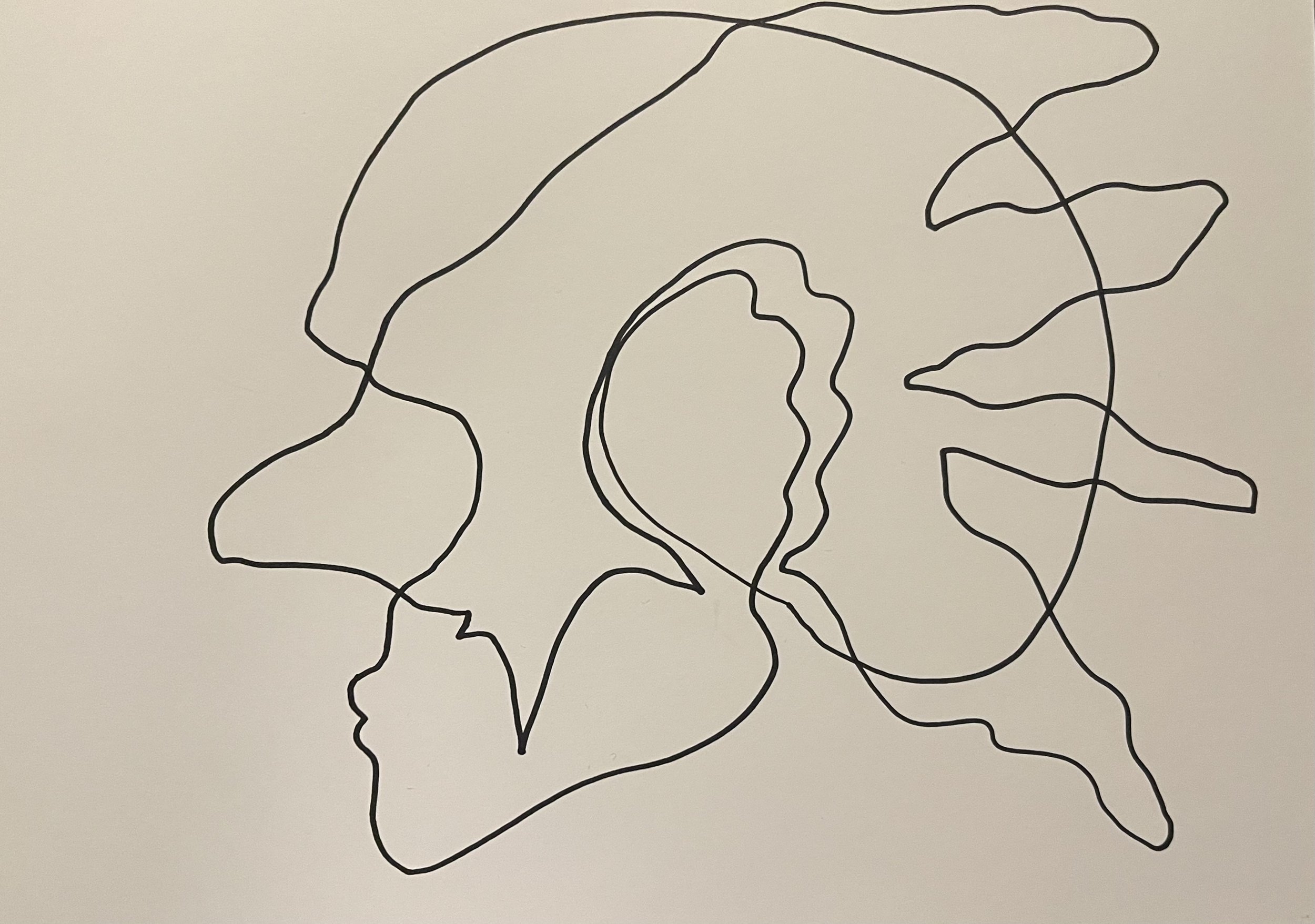 IMG_2201.jpeg