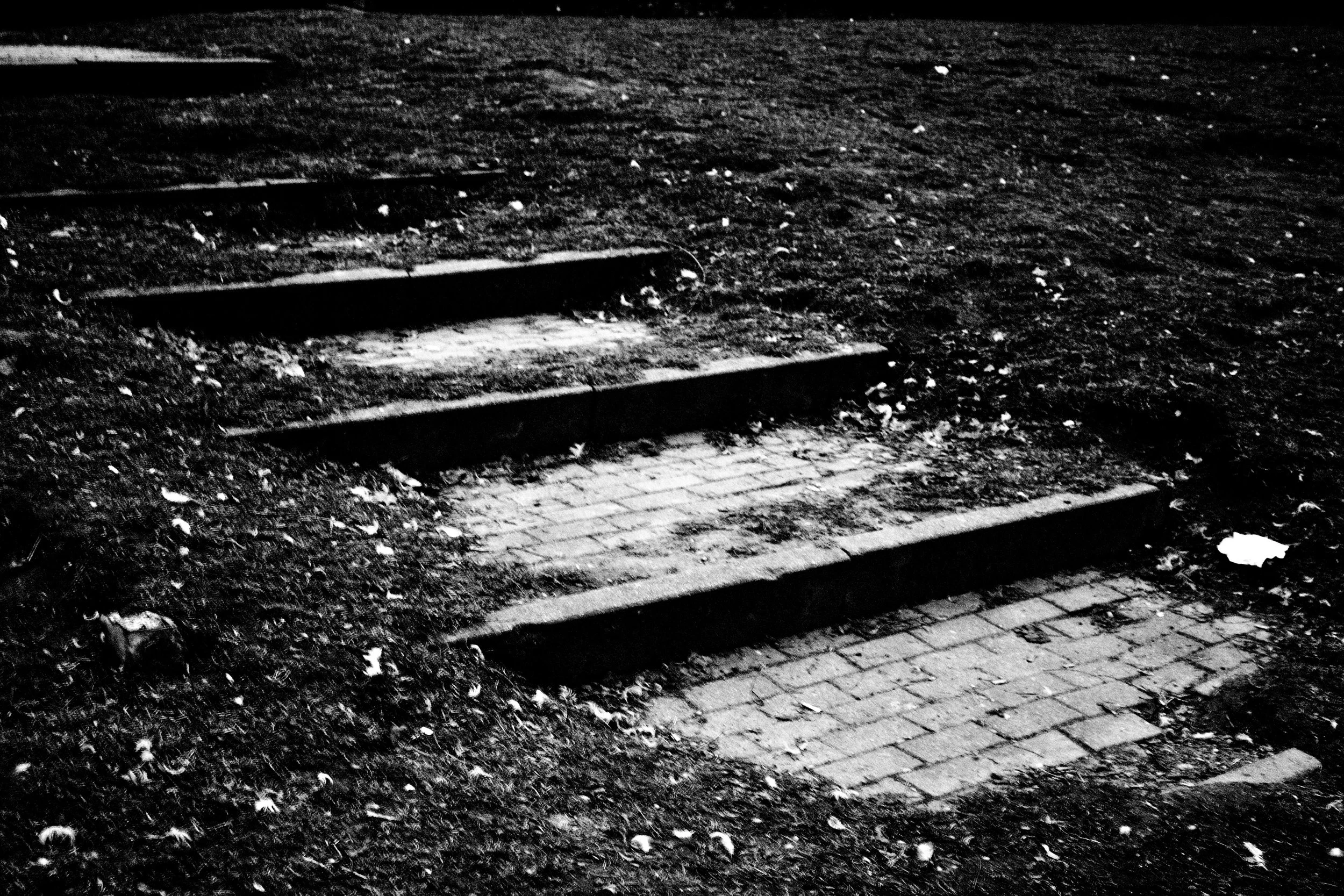 Black and white photo of outdoor stairs made of bricks and wooden planks, with fallen leaves scattered on the ground around them.