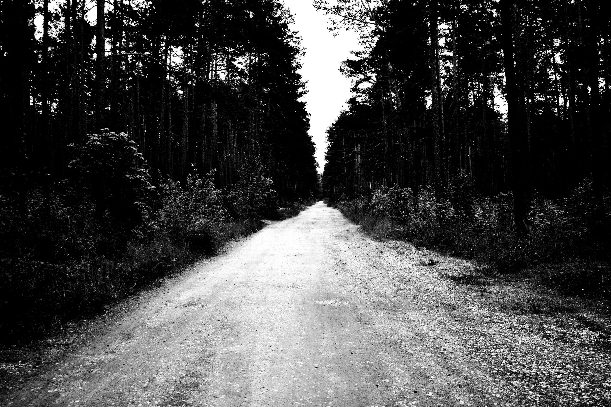 _MG_7371.jpg