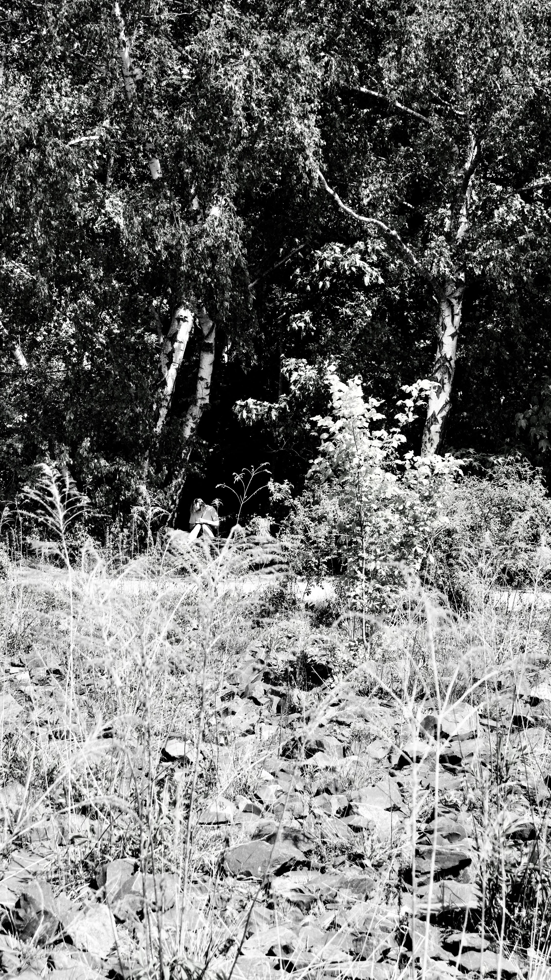 _MG_6978.jpg