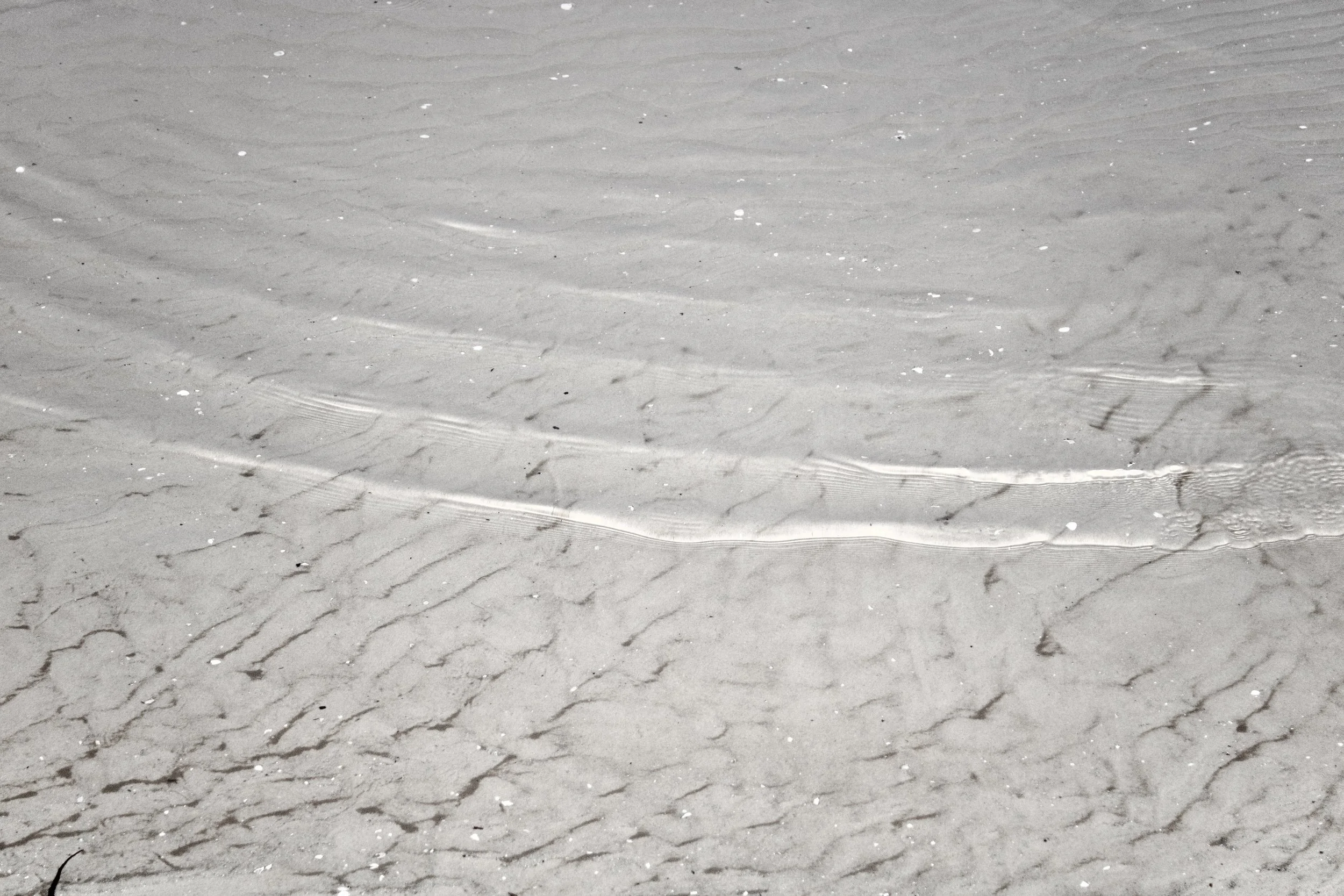A smooth sandy beach with small scattered shells and gentle ripples in the sand.