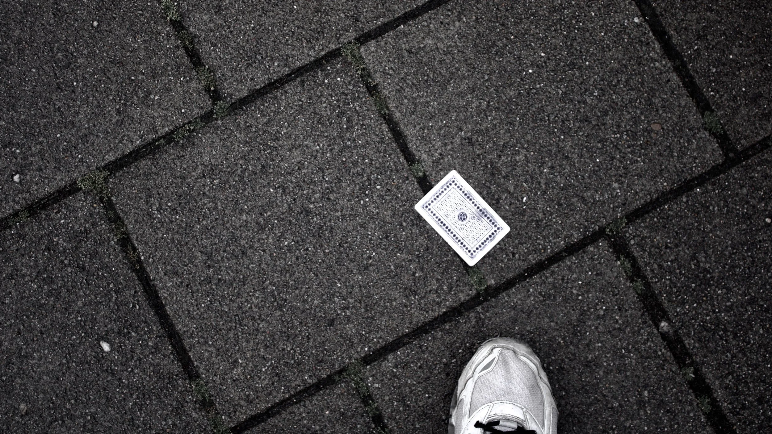 _MG_0349.jpeg