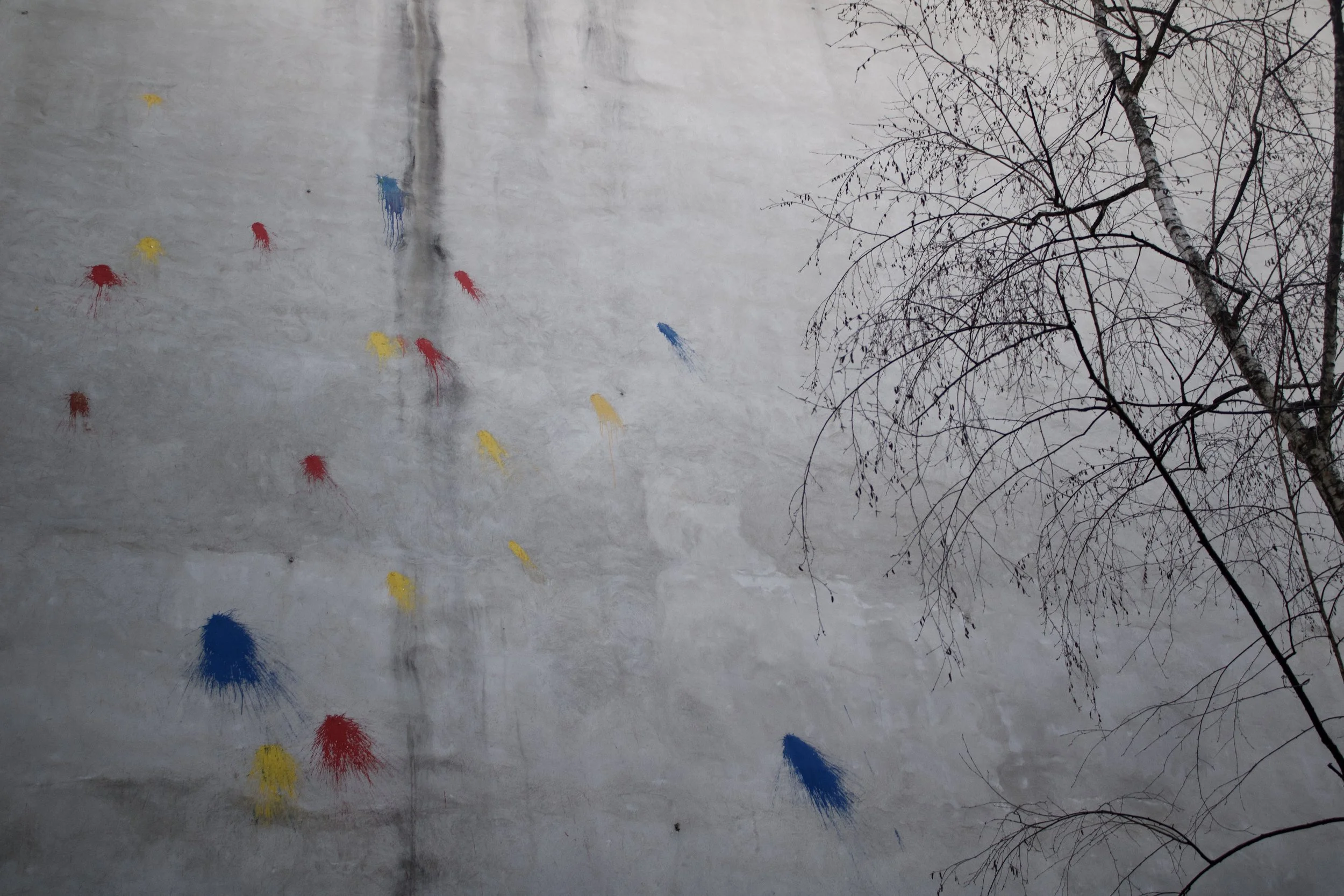 Bare tree with thin branches against a cloudy sky and colorful spot paint on a surface below.