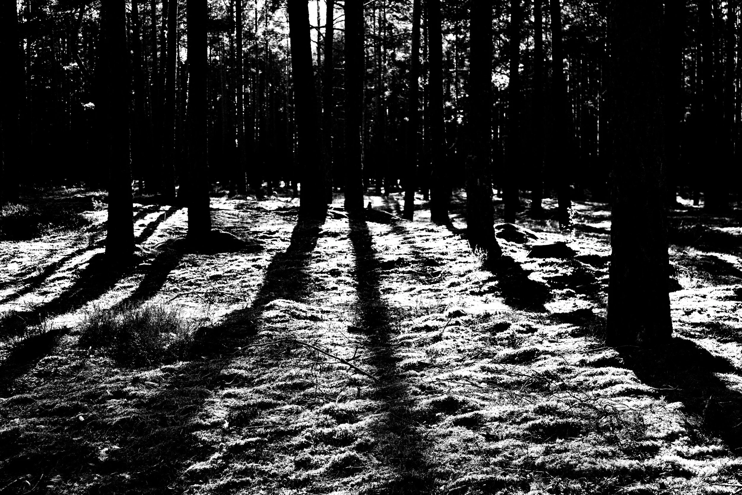 _MG_6929.jpg