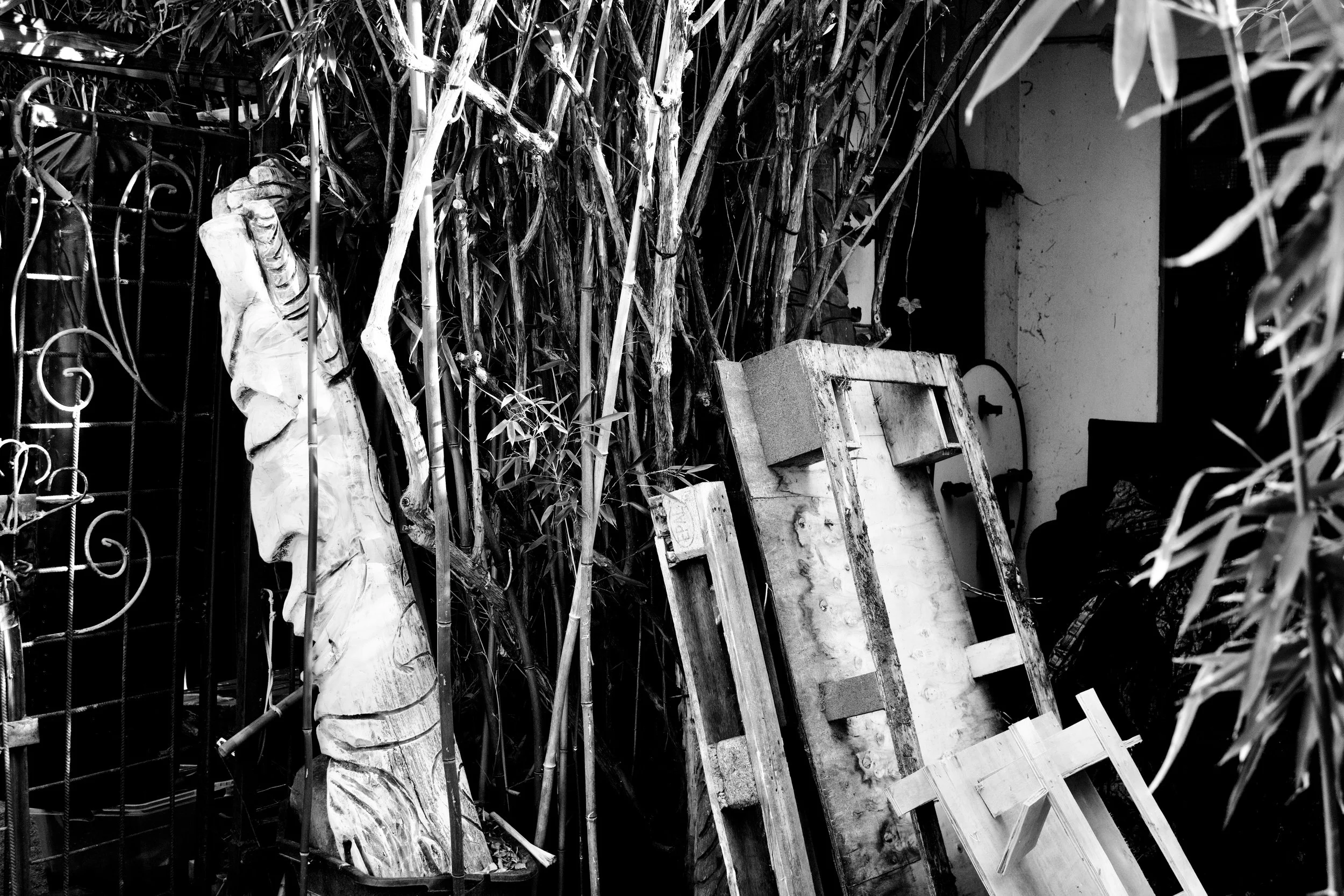 Black and white photo of a cluttered outdoor space with plants, wooden and metal objects, and a sculpture of a person's head.