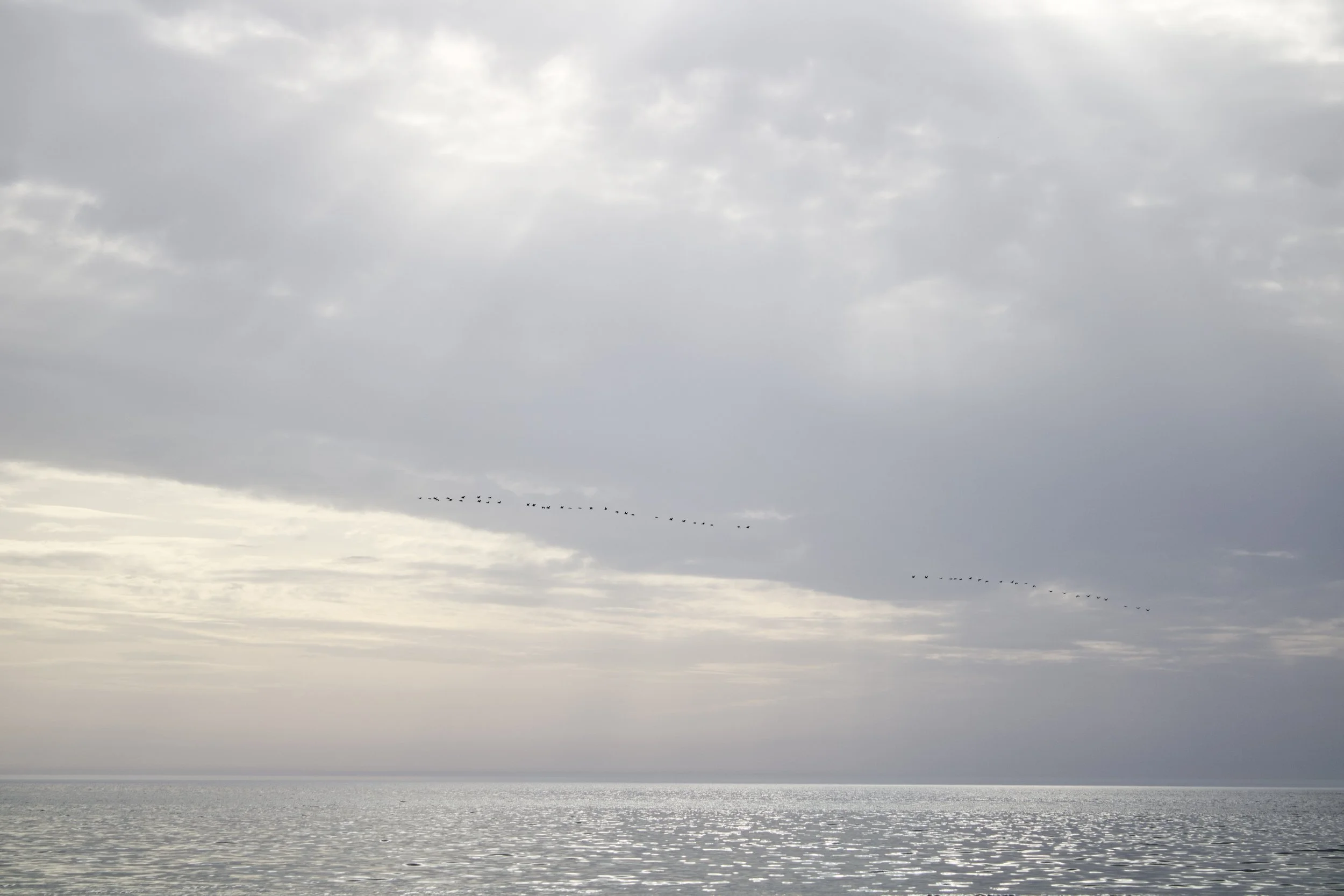 _MG_6815.jpg