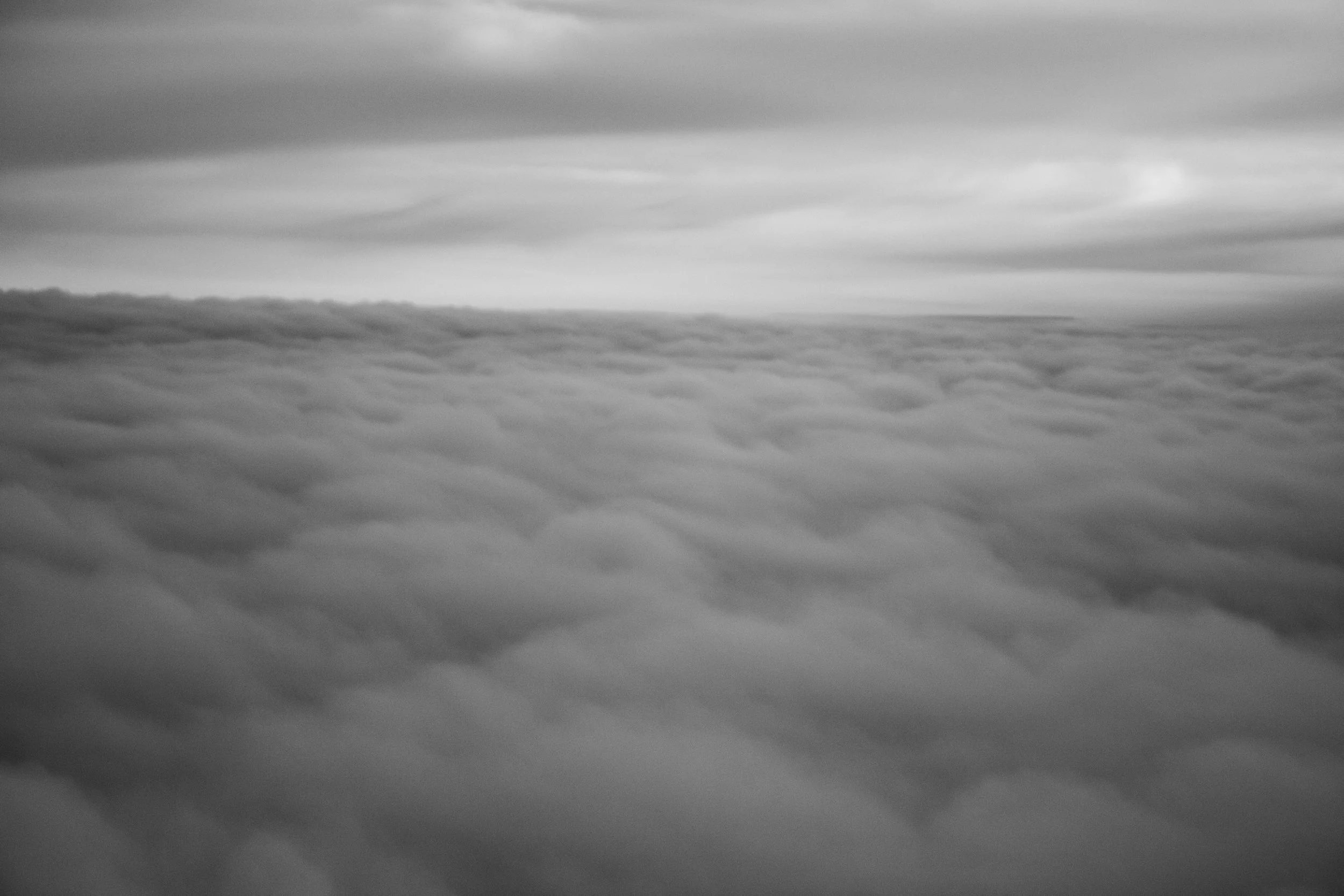 _MG_6947.jpg