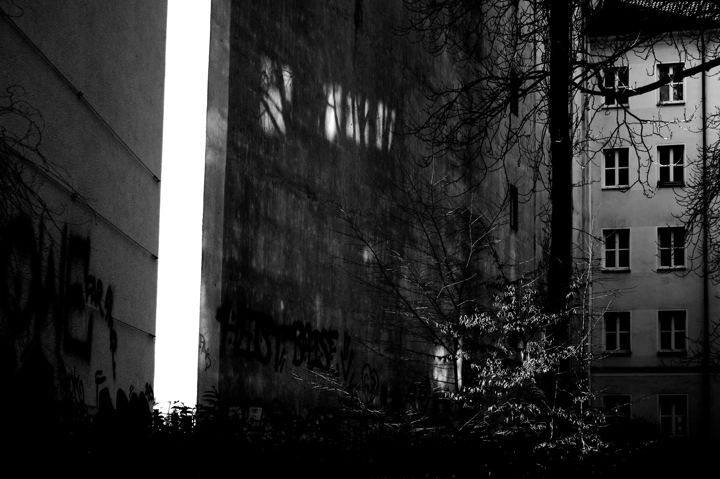 Black and white photo of a narrow alleyway between two buildings, with leafless trees and graffiti on the wall.