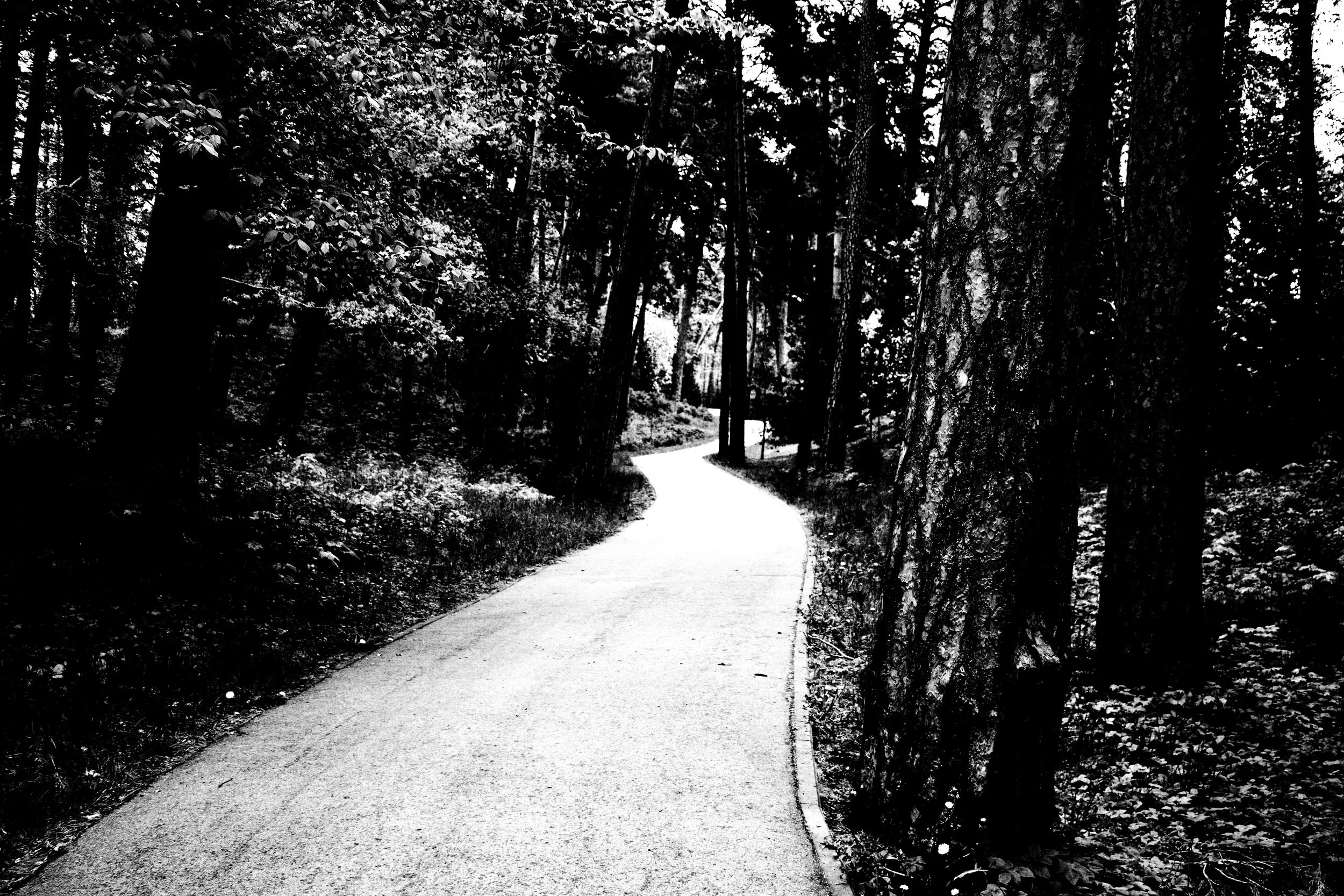 _MG_7105.jpg