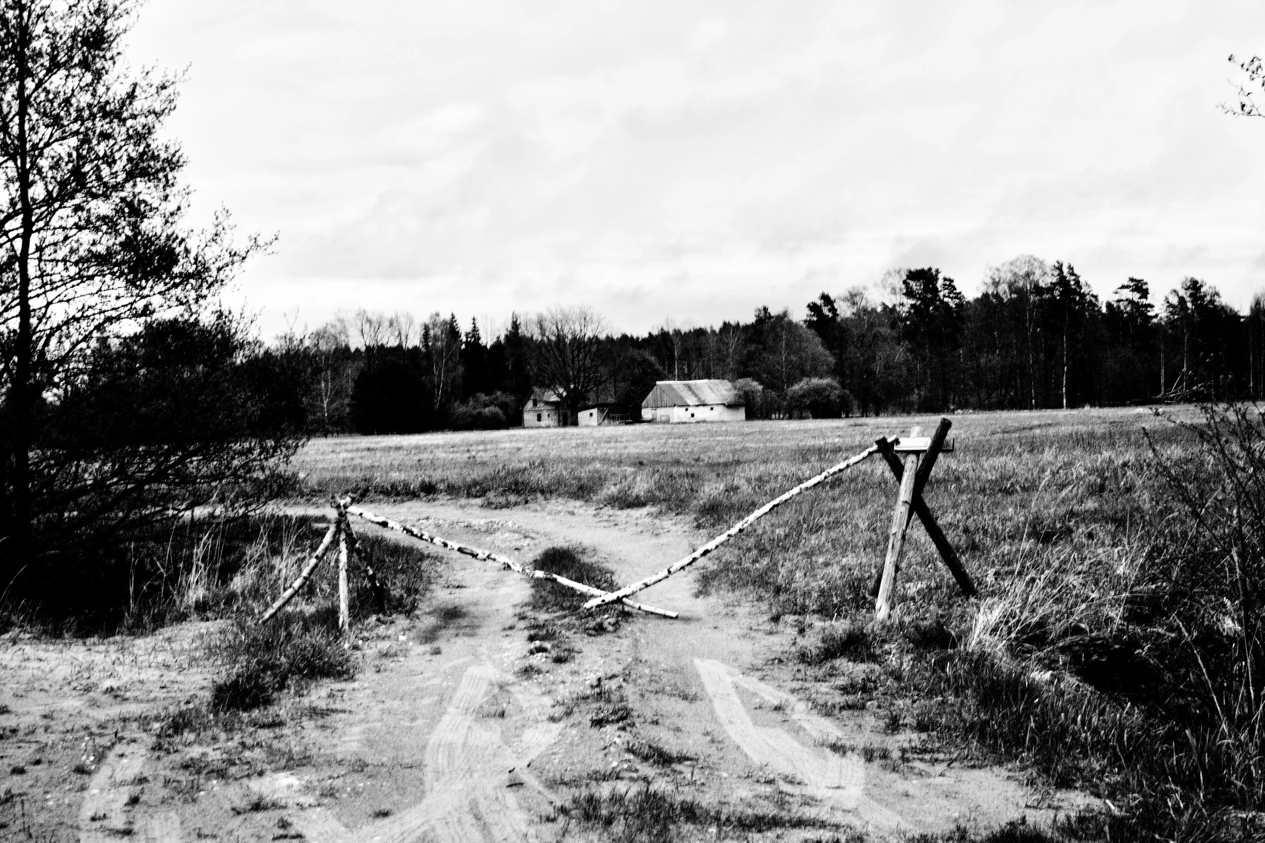 _MG_6918.jpg