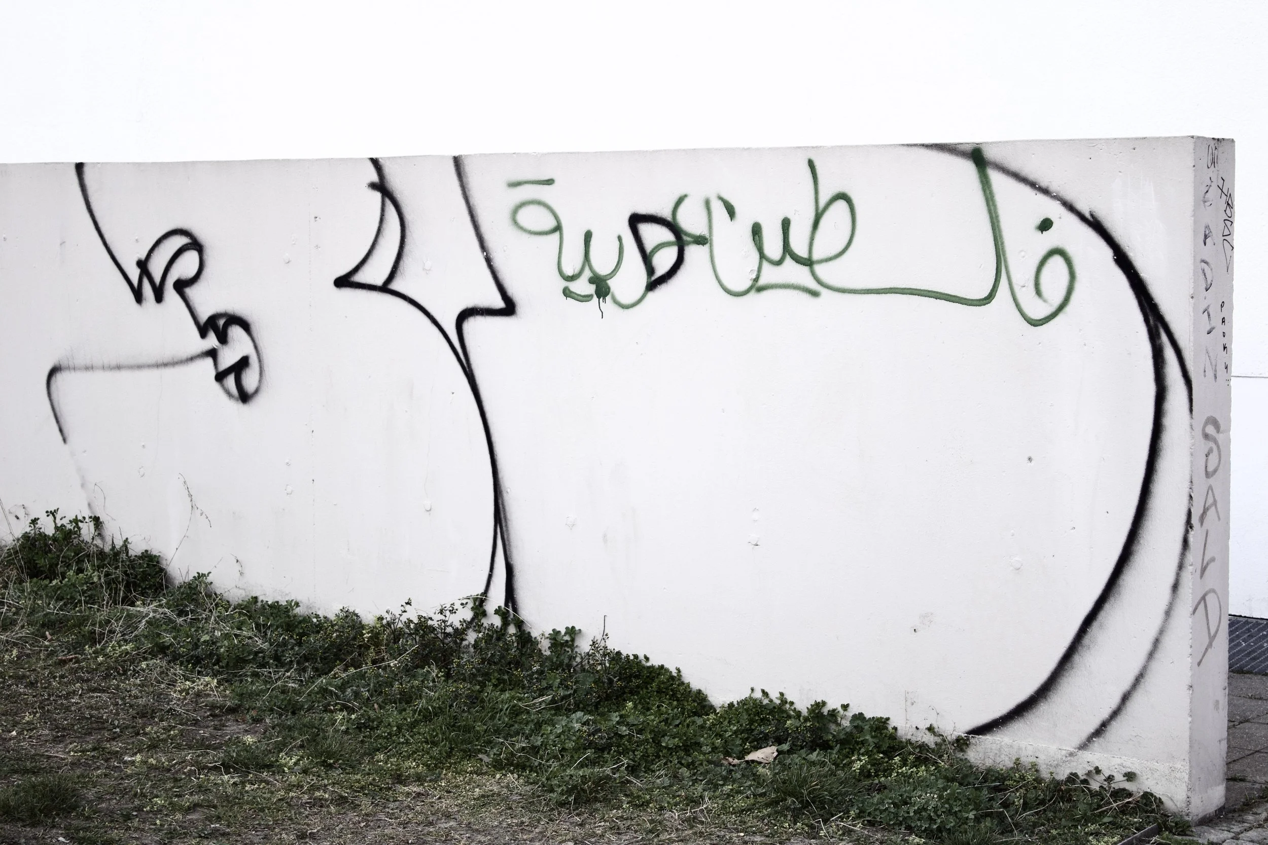 Graffiti-covered white wall with black and green spray paint, next to some bushes at the bottom.