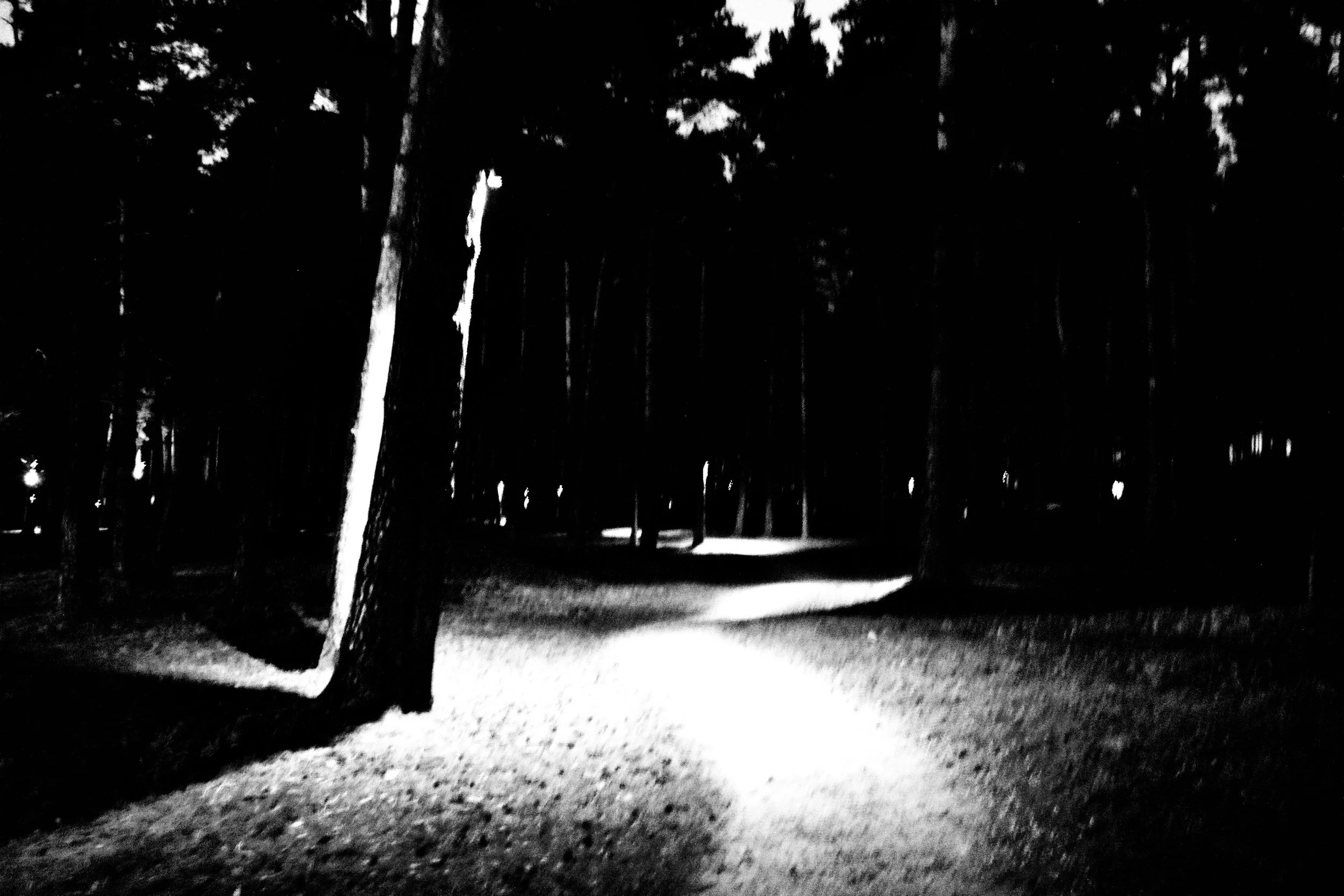 _MG_6624.jpg