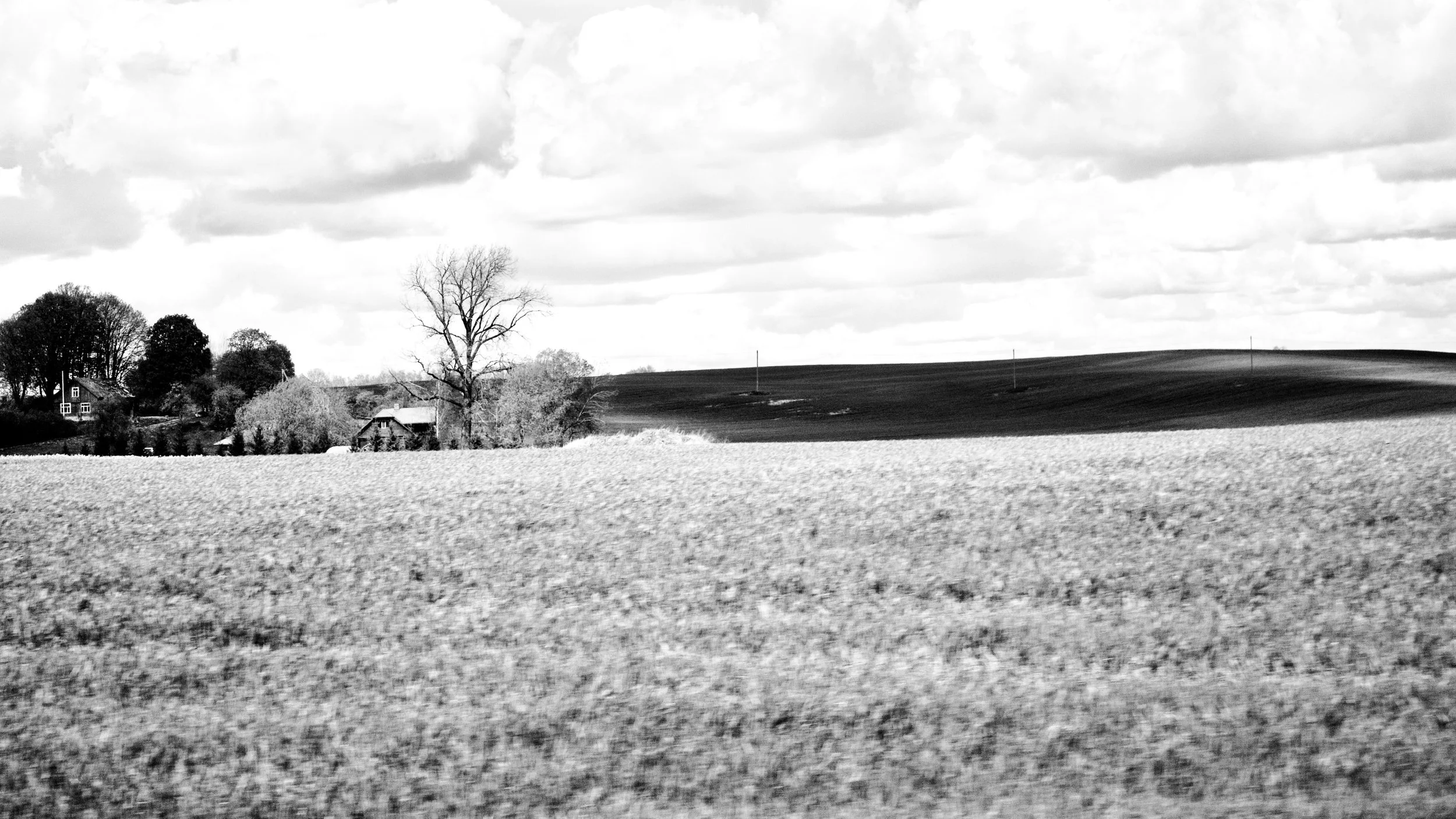 _MG_7038.jpg