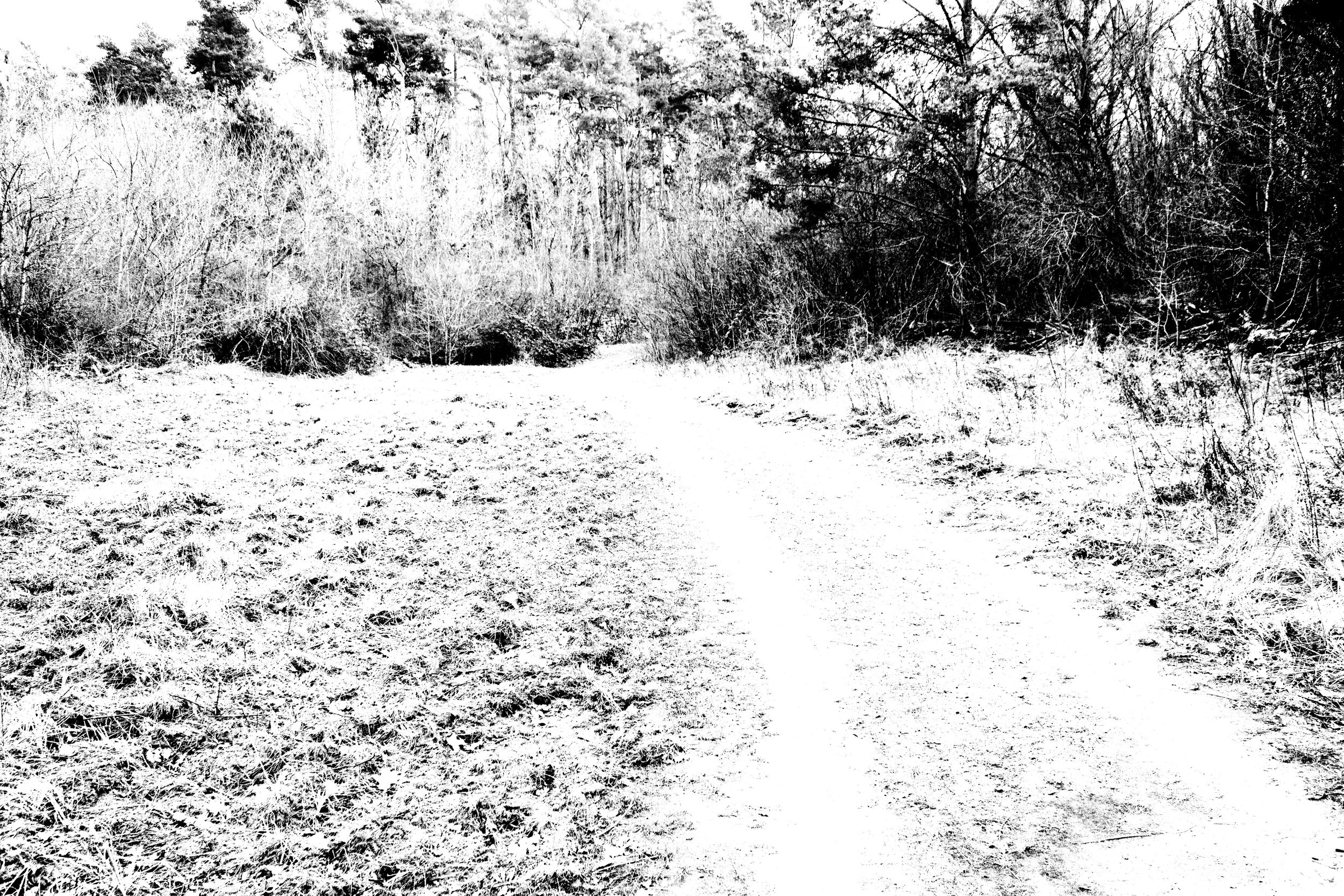 _MG_5671.jpg