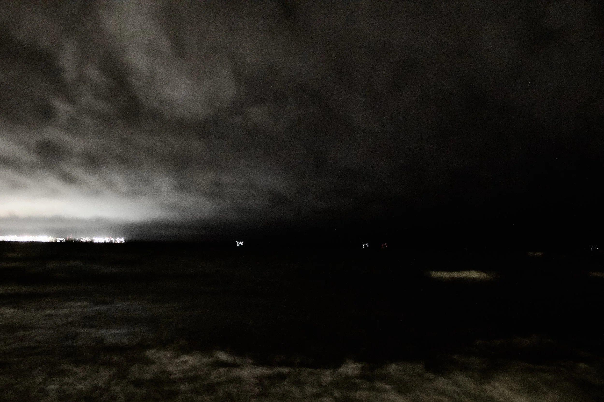 _MG_5017.jpg