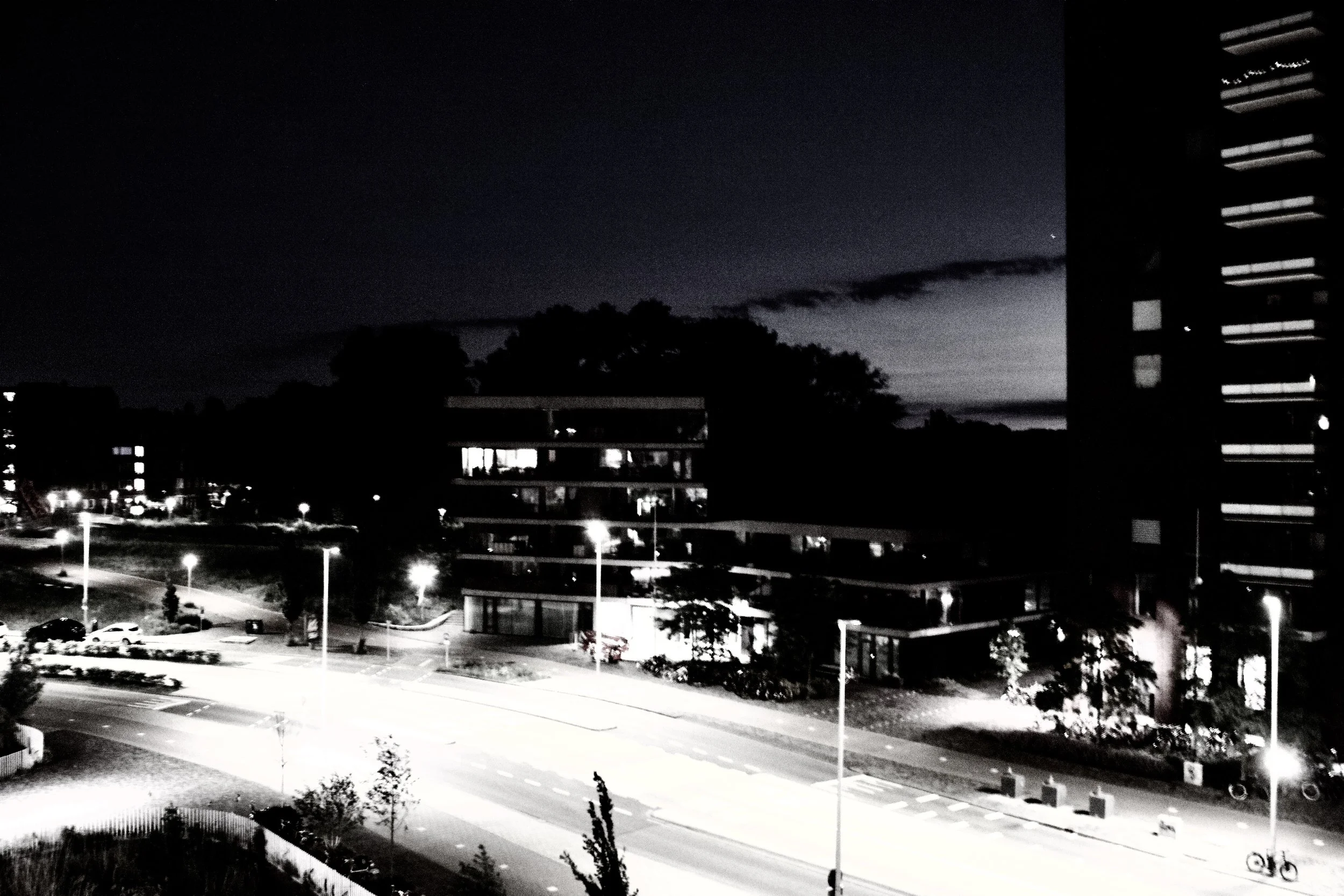 _MG_0236.jpeg