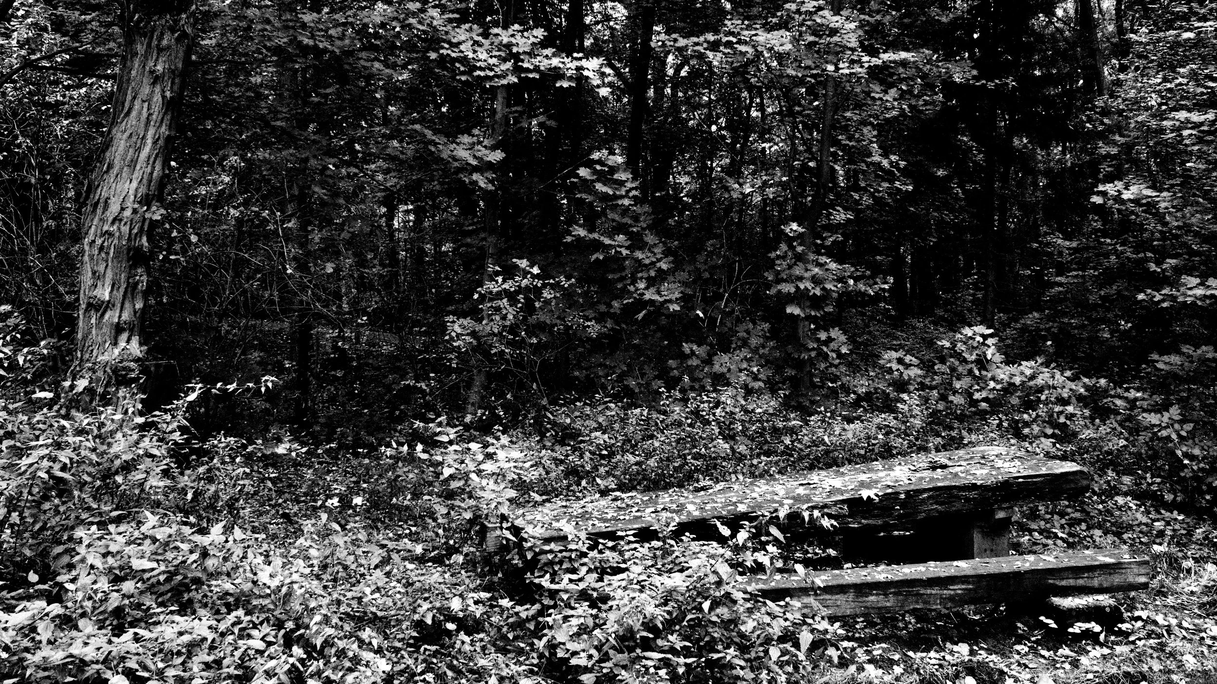 _MG_3666.jpg