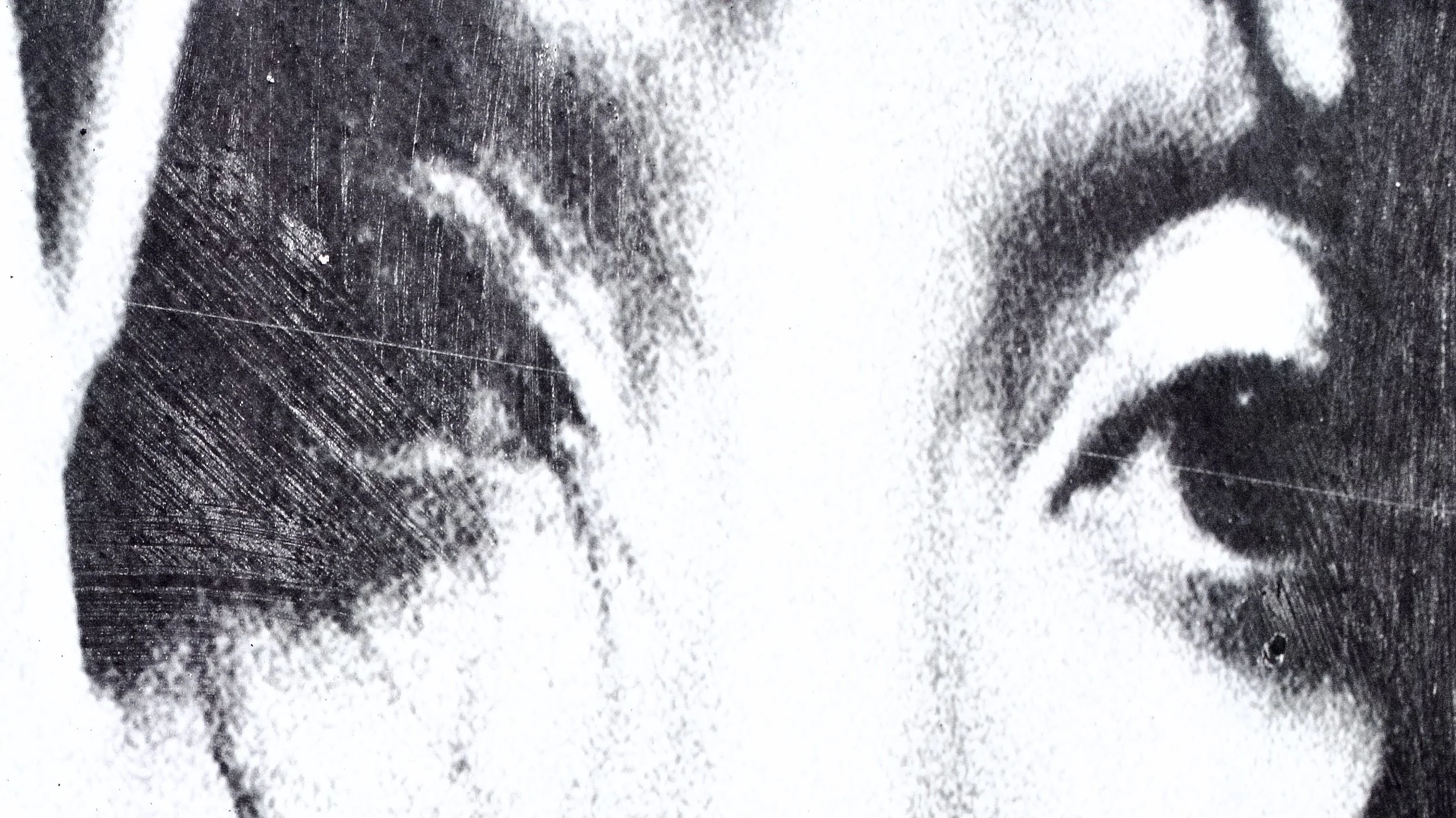 Close-up of a monochrome or grayscale photograph of a person's face, emphasizing features such as eyes, nose, and mouth, with visible textured details and shading.