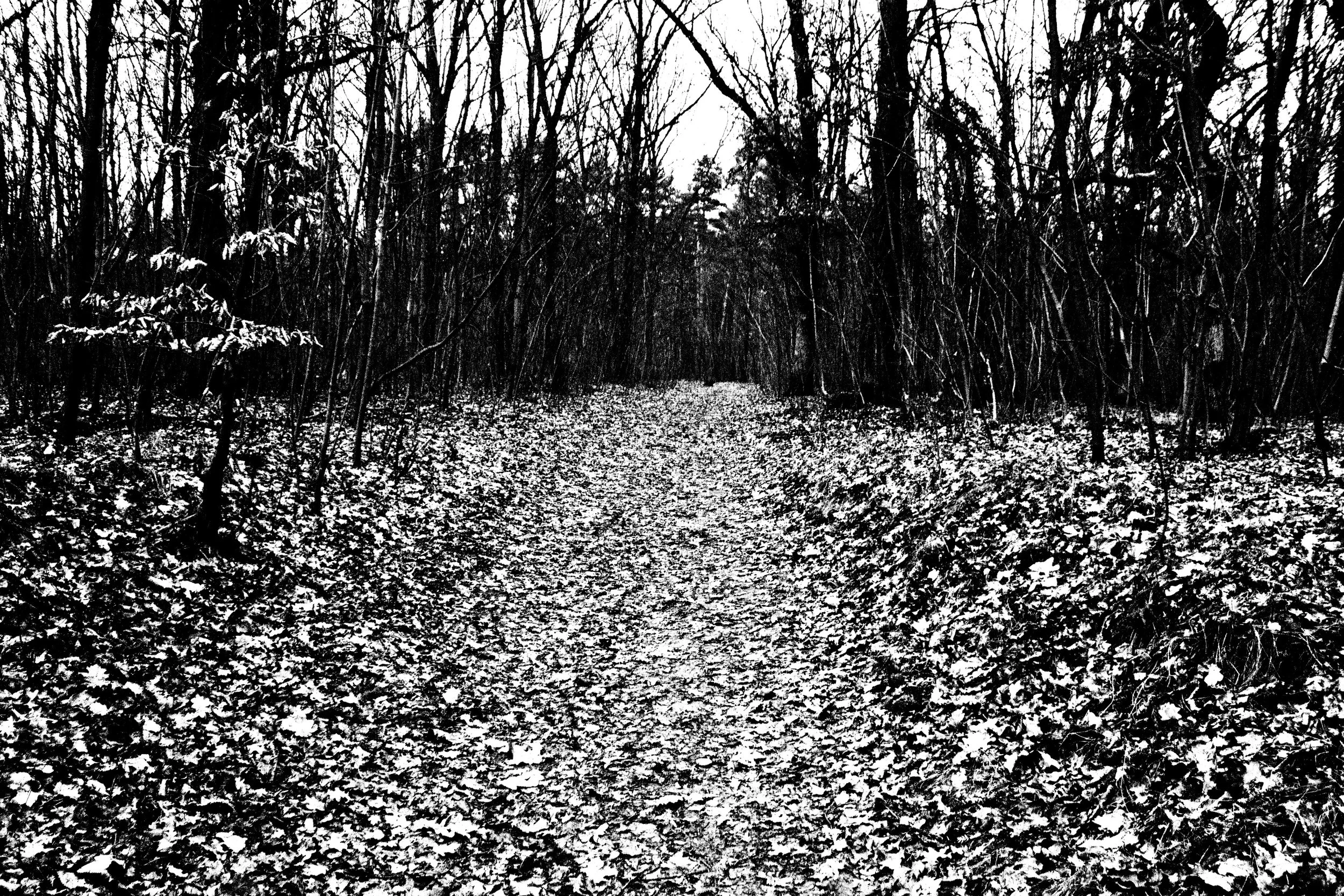 _MG_5716.jpg
