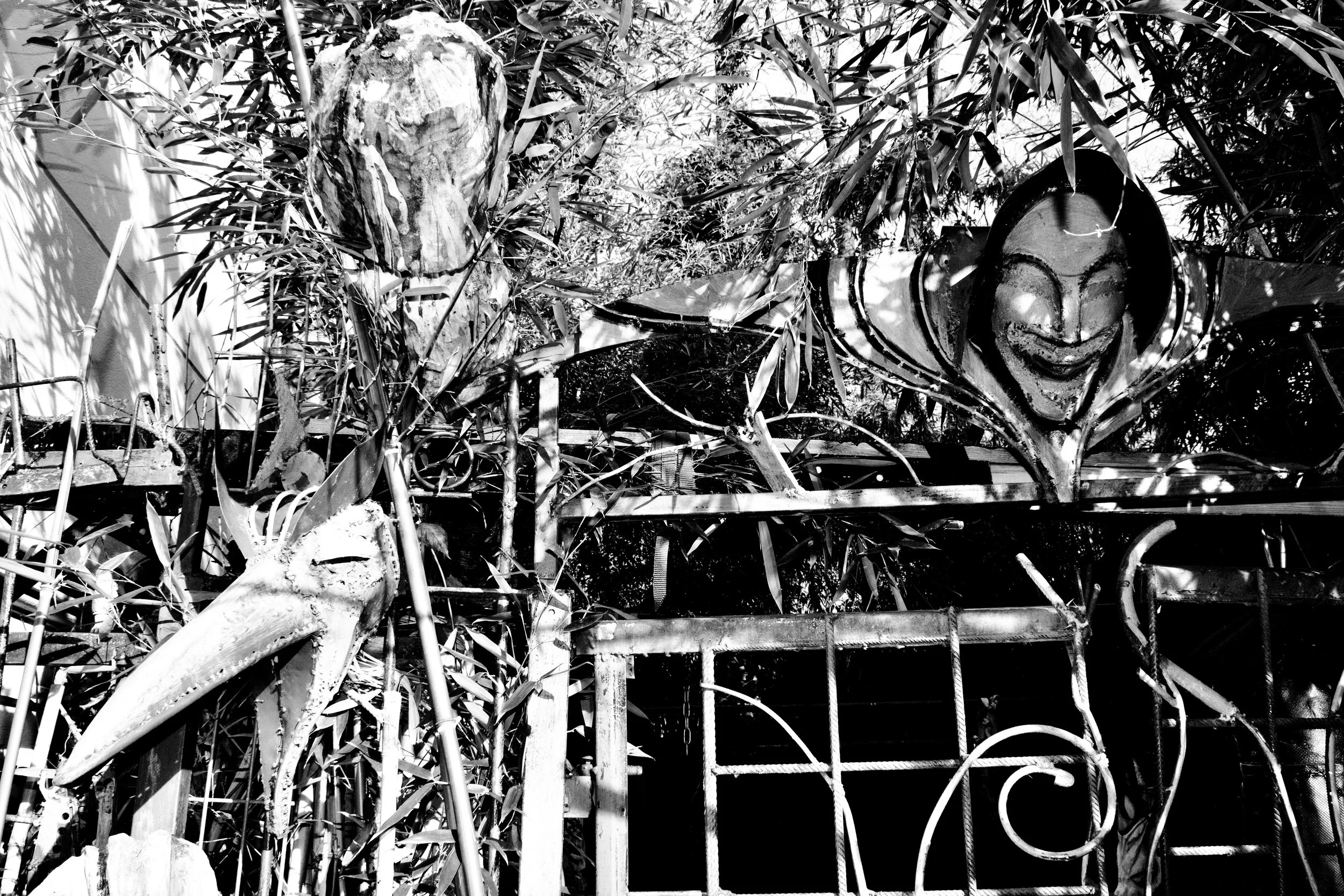 Black and white photo of a sculpture of a smiling face located behind a wild tangle of branches and plants.