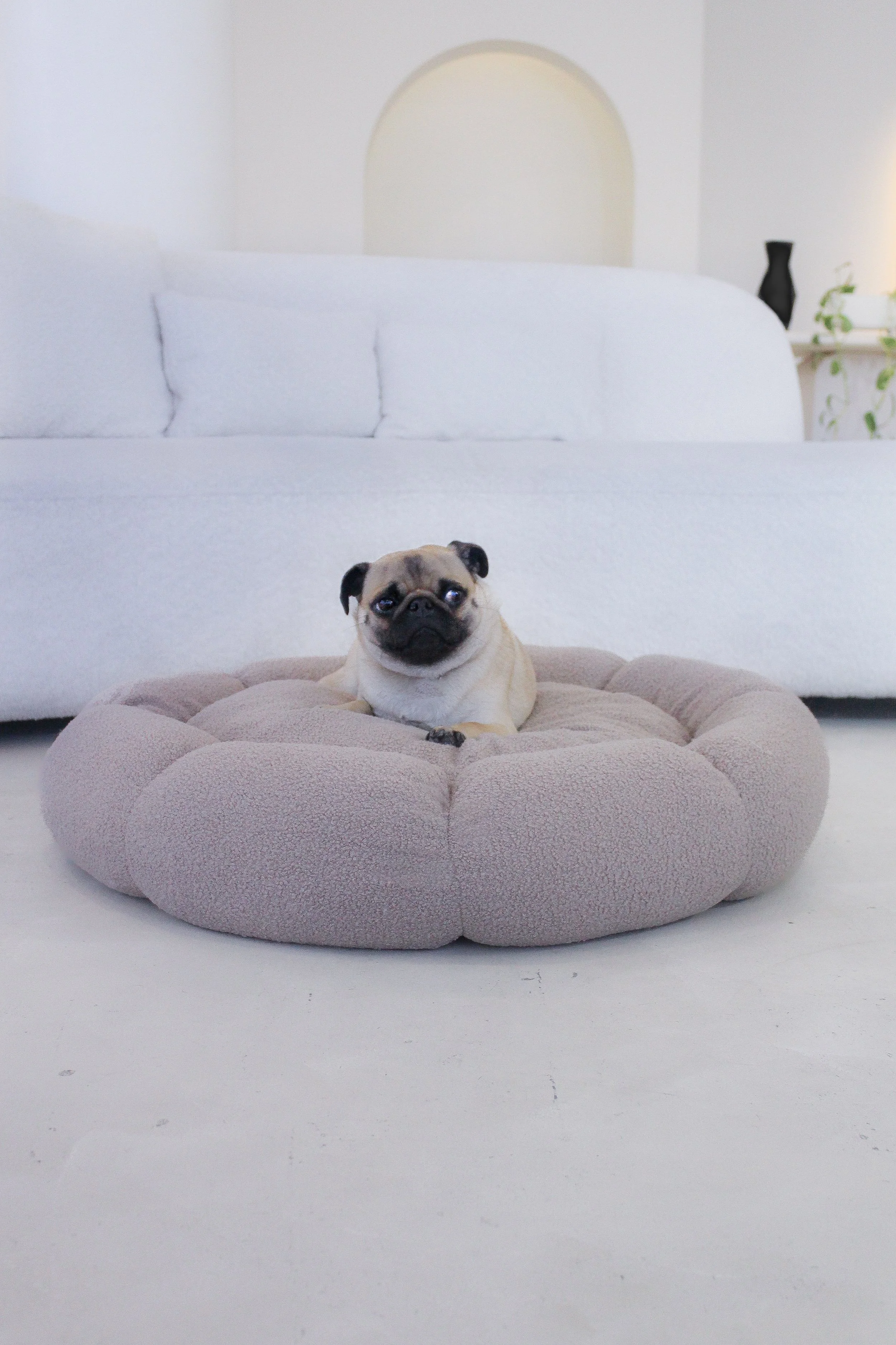 OASIS BOUCLE PET BED — Lucid Pet Co. Luxury Dog Beds Australia Memory Foam Dog Beds