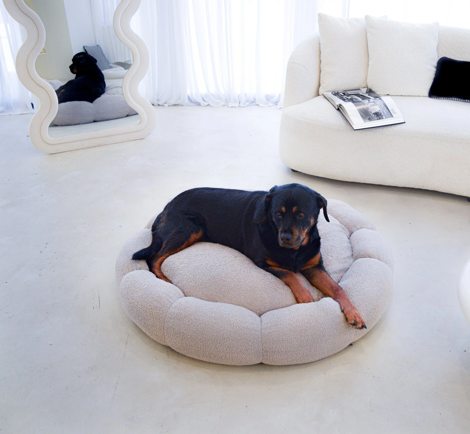 OASIS BOUCLE PET BED — Lucid Pet Co. Luxury Dog Beds Australia