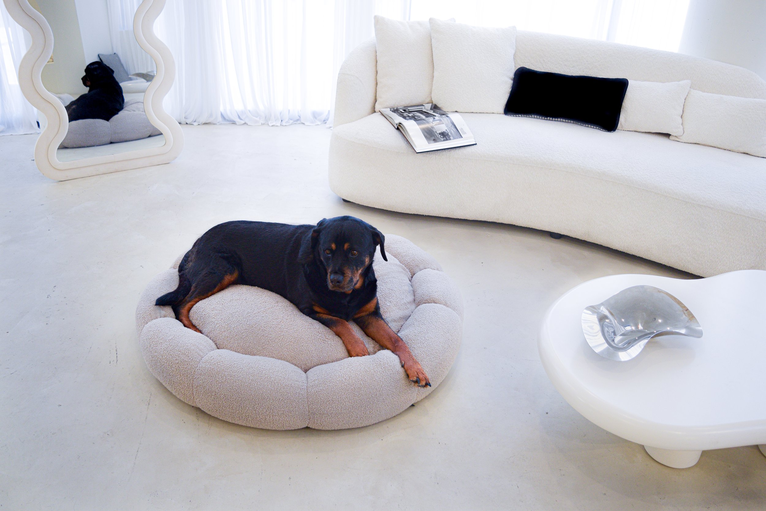 Lucid Pet Co Luxury Dog Beds