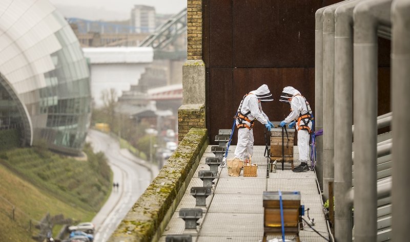 Two workers dressed in white protective suits, helmets, and harnesses on a narrow platform doing maintenance or inspection work.