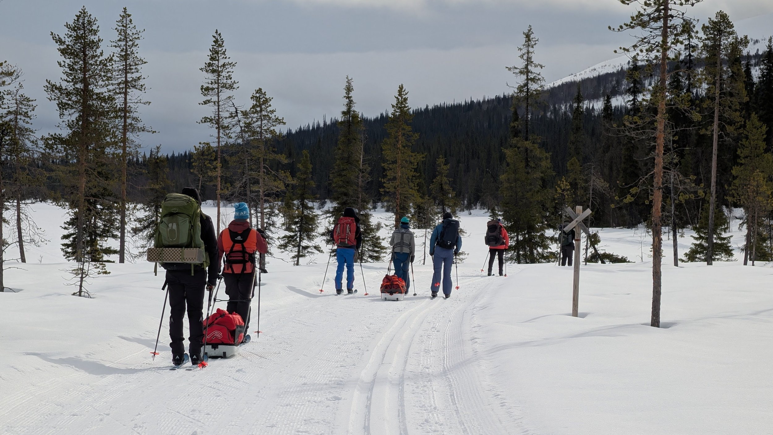 A group of people dressed in winter gear, pulling sleds and walking through a snowy forested landscape with tall pine trees and distant mountains.