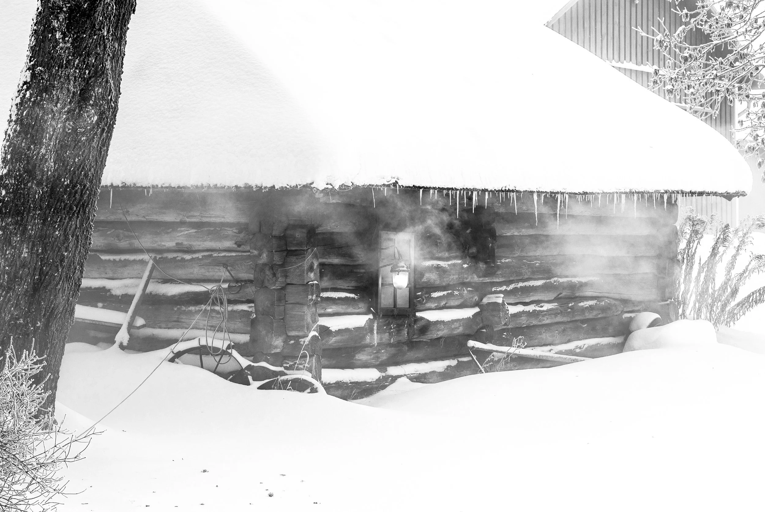 A snowy outdoor scene featuring a log cabin with icicles hanging from the roof, surrounded by snow-covered trees and ground, with a large tree trunk in the foreground.