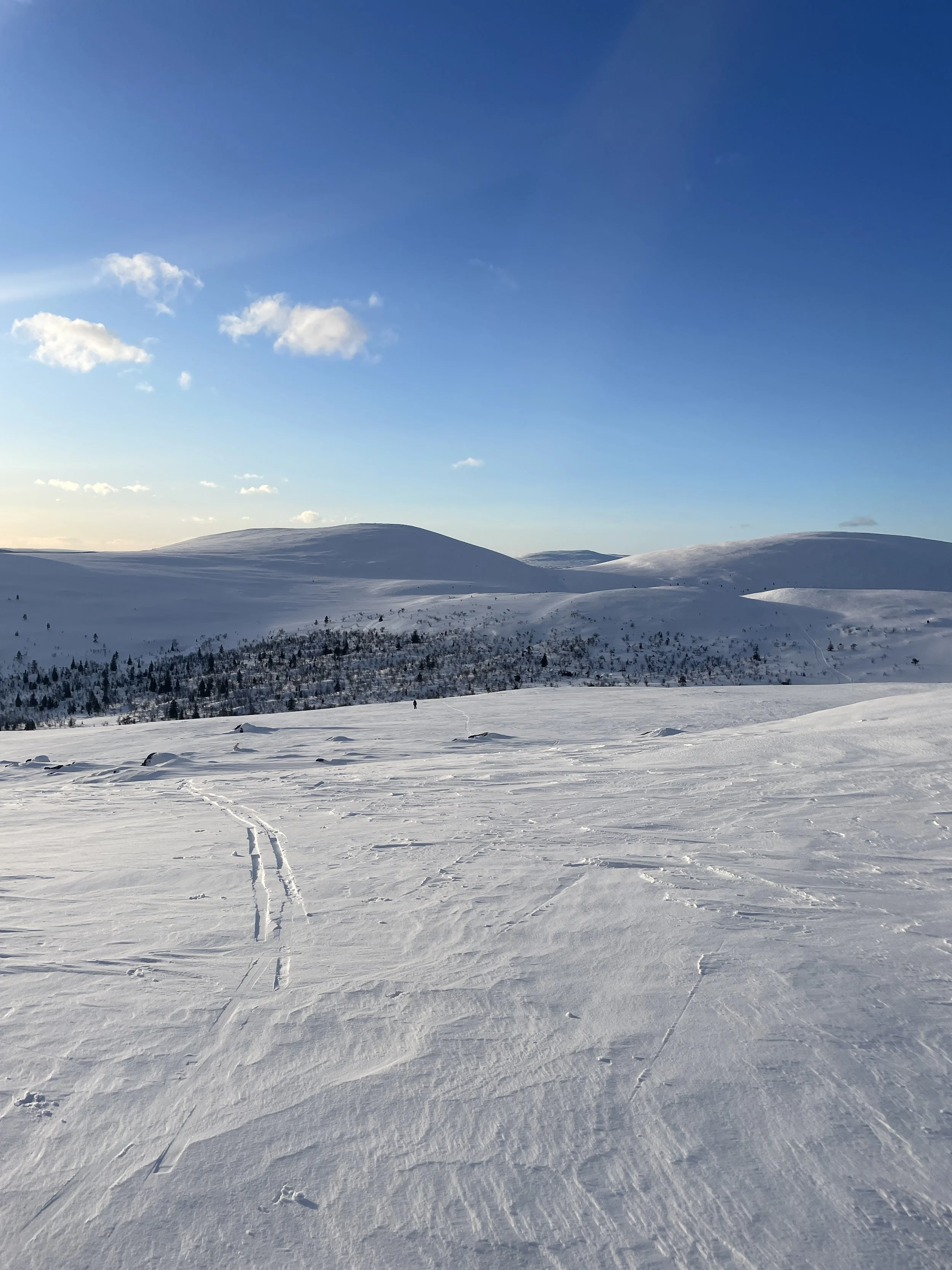 A vast snow-covered landscape with gentle rolling hills under a bright blue sky with a few clouds.