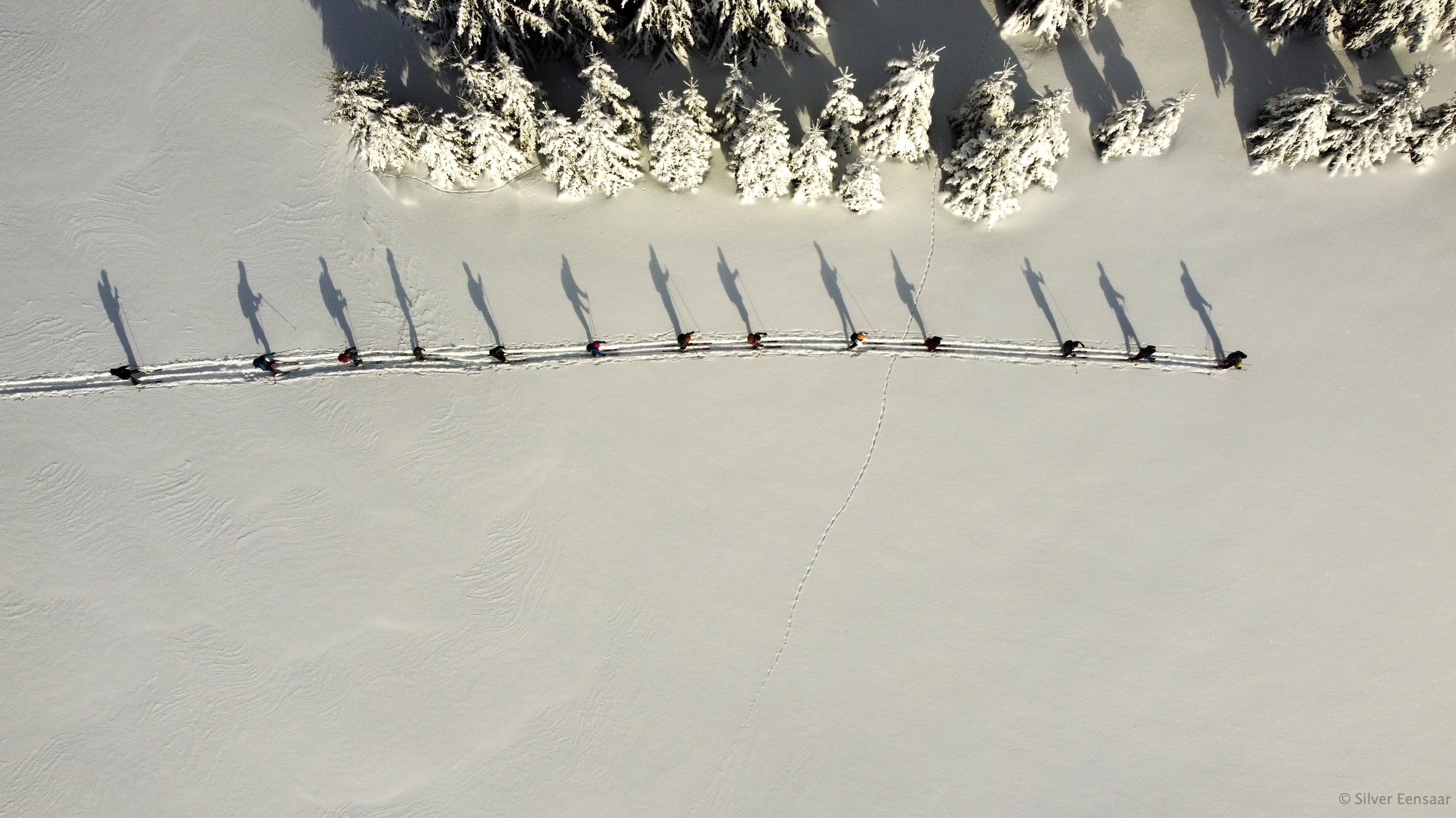 dji_0952_52671219948_o.jpg