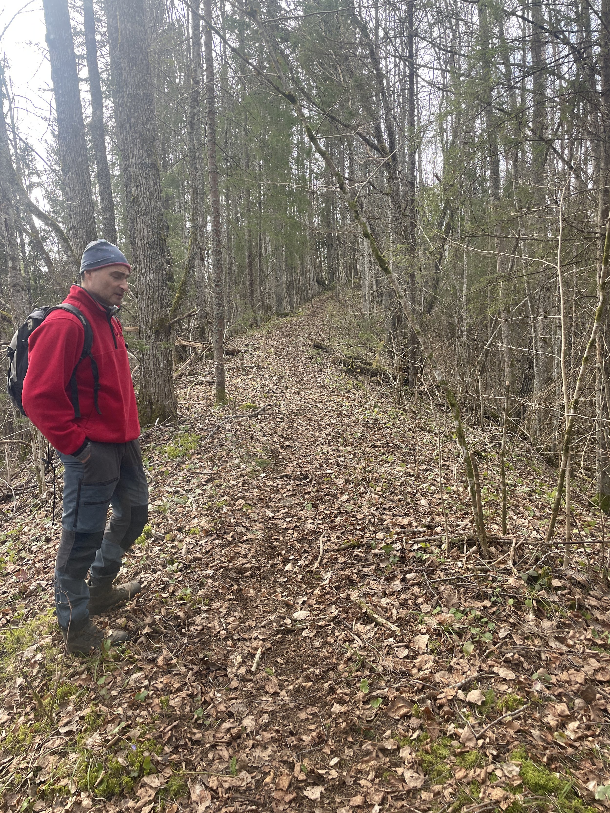 A man in a red jacket and gray pants hiking in a forest on a trail covered with fallen leaves.