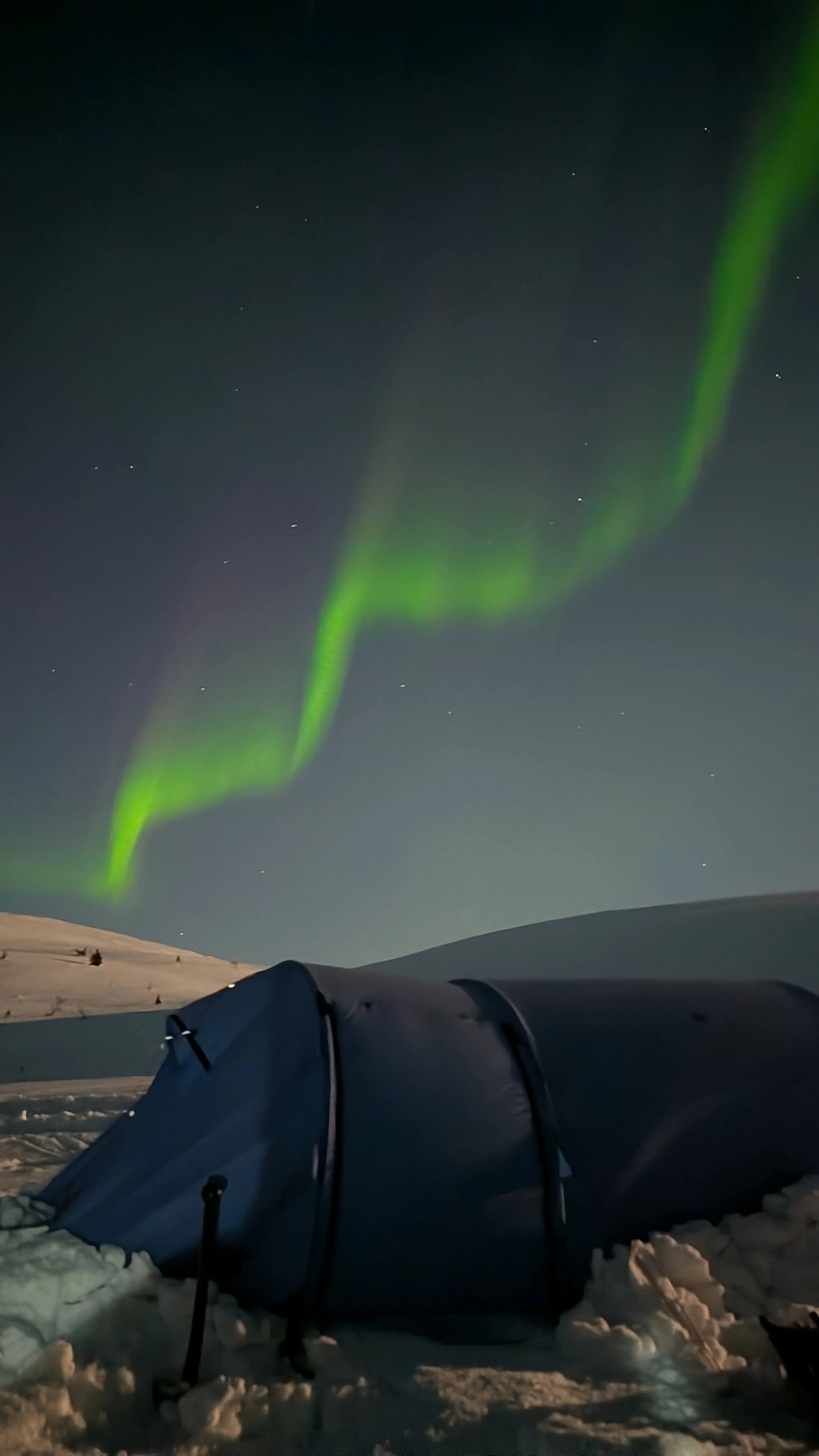 Dark night sky illuminated by green Northern Lights over snow-covered landscape with tents.