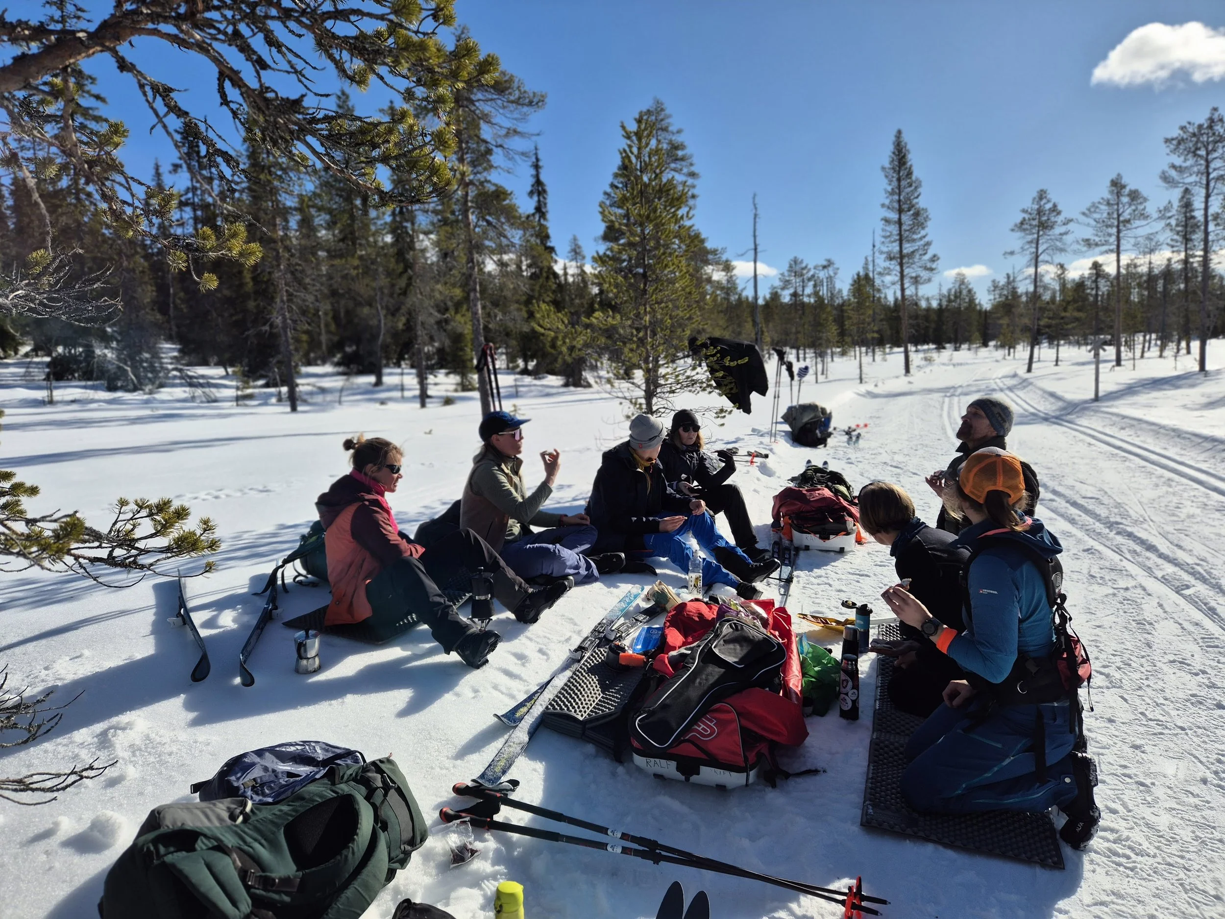 A group of people sitting on snow-covered ground in a forest, surrounded by trees, having a break during a winter outdoor activity with ski equipment and backpacks mixed with snow.
