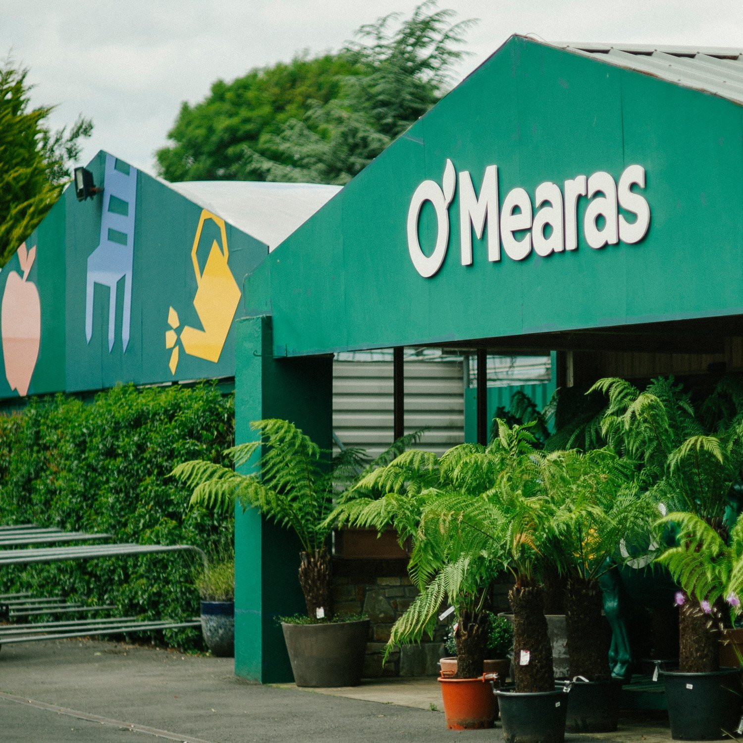 omearas-7.jpg