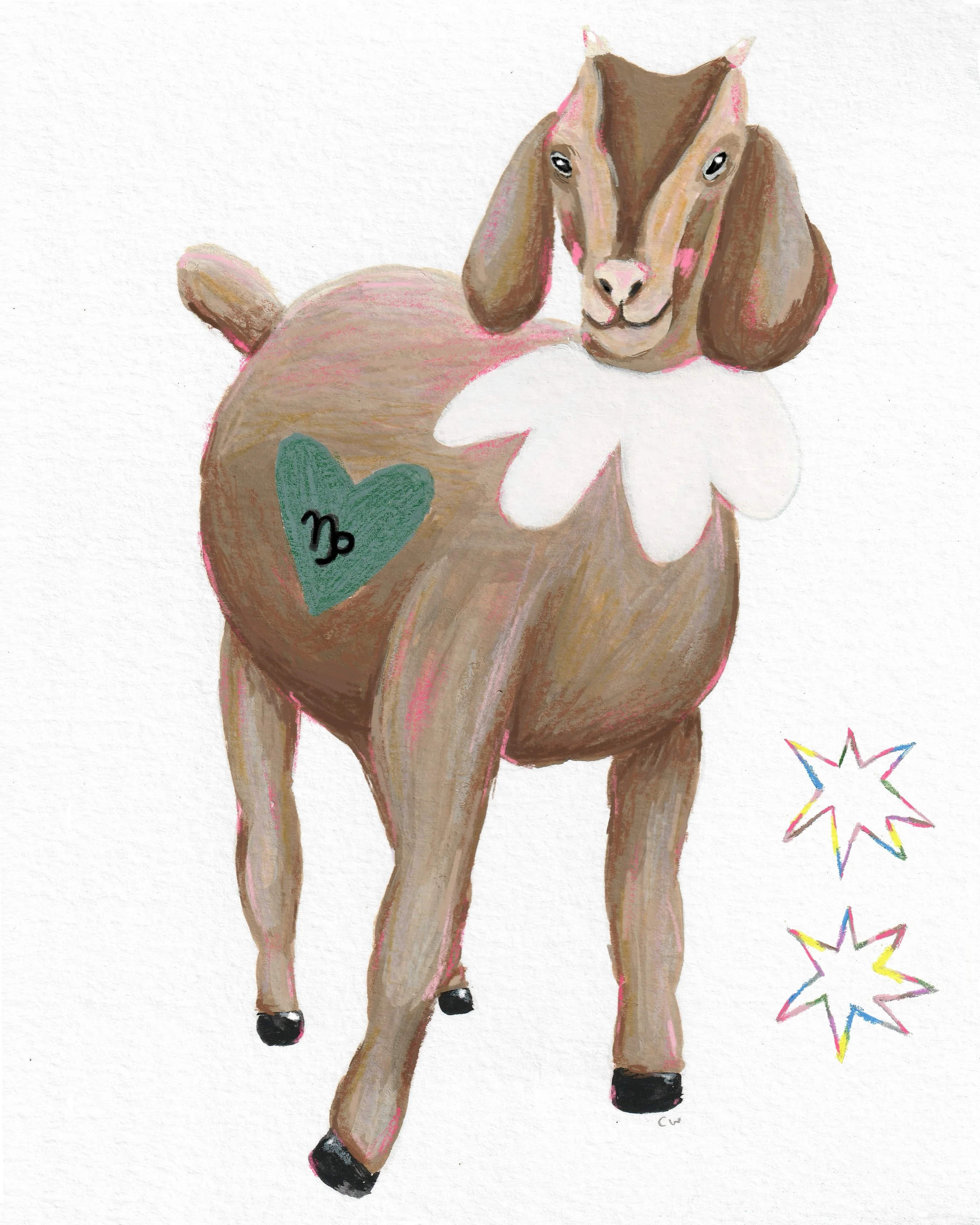 Capricorn