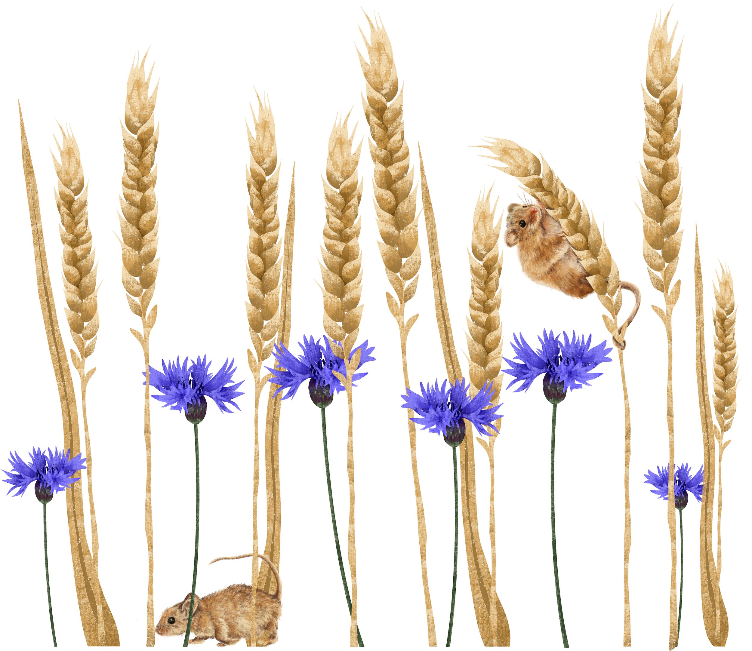 Mice in a Wheat Field with Cornflowers (2024) digital design for Famileco