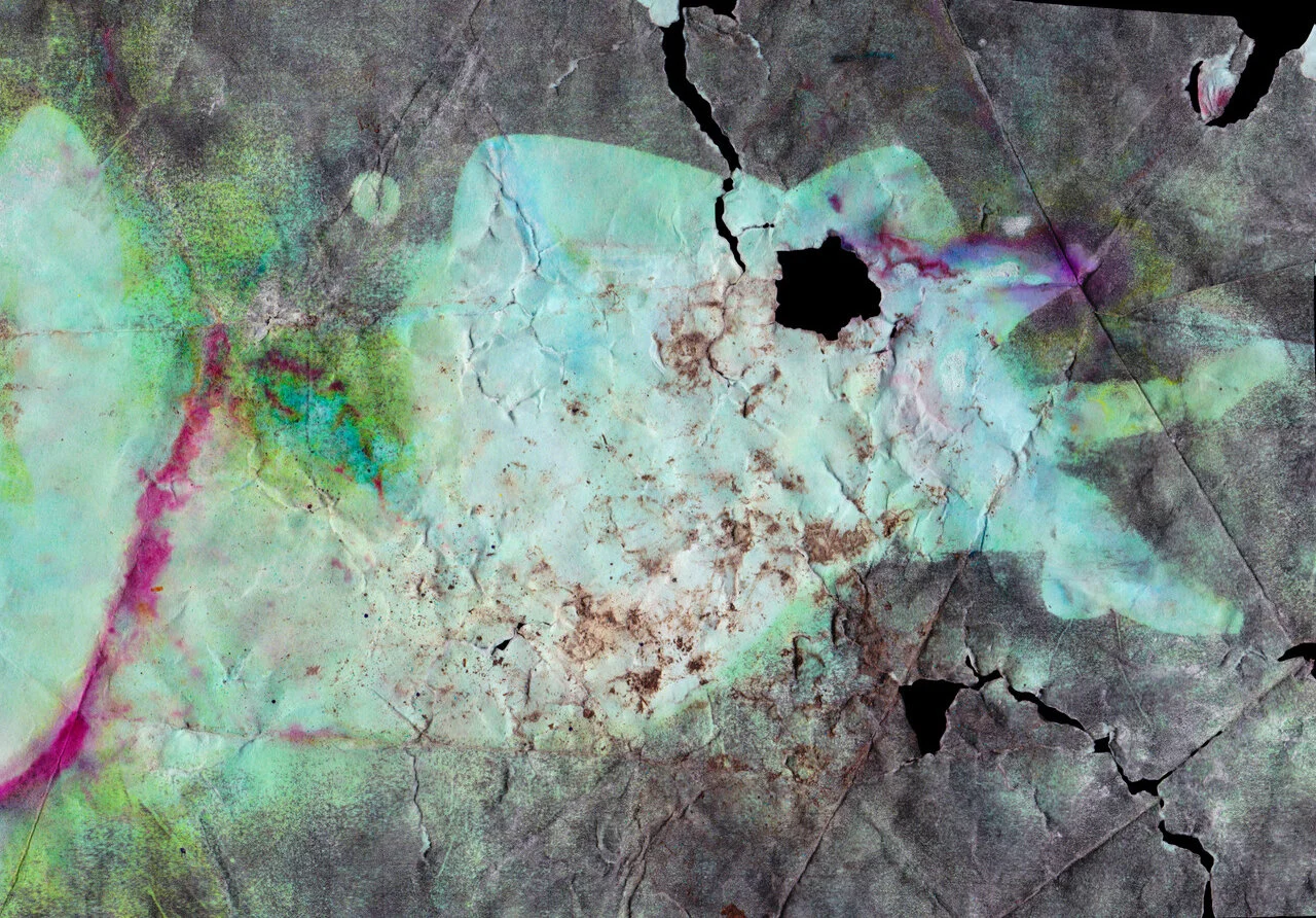 A Constant Companion