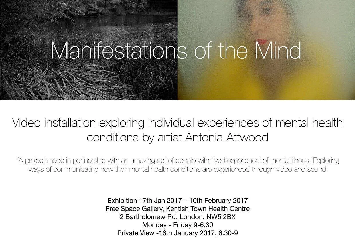 Manifestations of the Mind