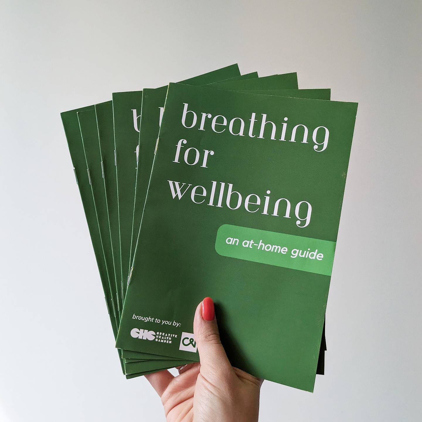 Our brand new Breathing for Wellbeing leaflets have arrived! This at-home guide was developed for you to be able to take part from the comfort of your living room. 

Free to download via the link in our bio, and there are some physical booklets at th