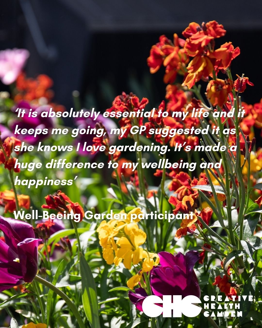 Here are some participant quotes from our 2024-2025 annual report. We are so lucky to have such an incredible community of participants that bring so much joy and passion to each of our groups. 

We can't wait to see what we all create together this 
