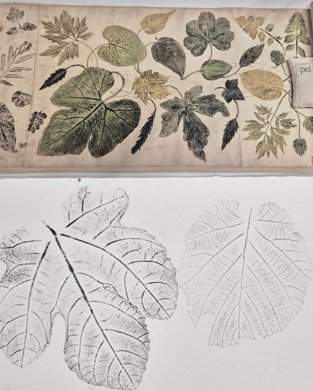 Monoprints for well-being get the Social Shapla seal of approval 🍁

This week, the Social Shapla workshop participants brought fall from outside and into the James Wigg Practice, using leaves to create unique prints. 

There is something special abo