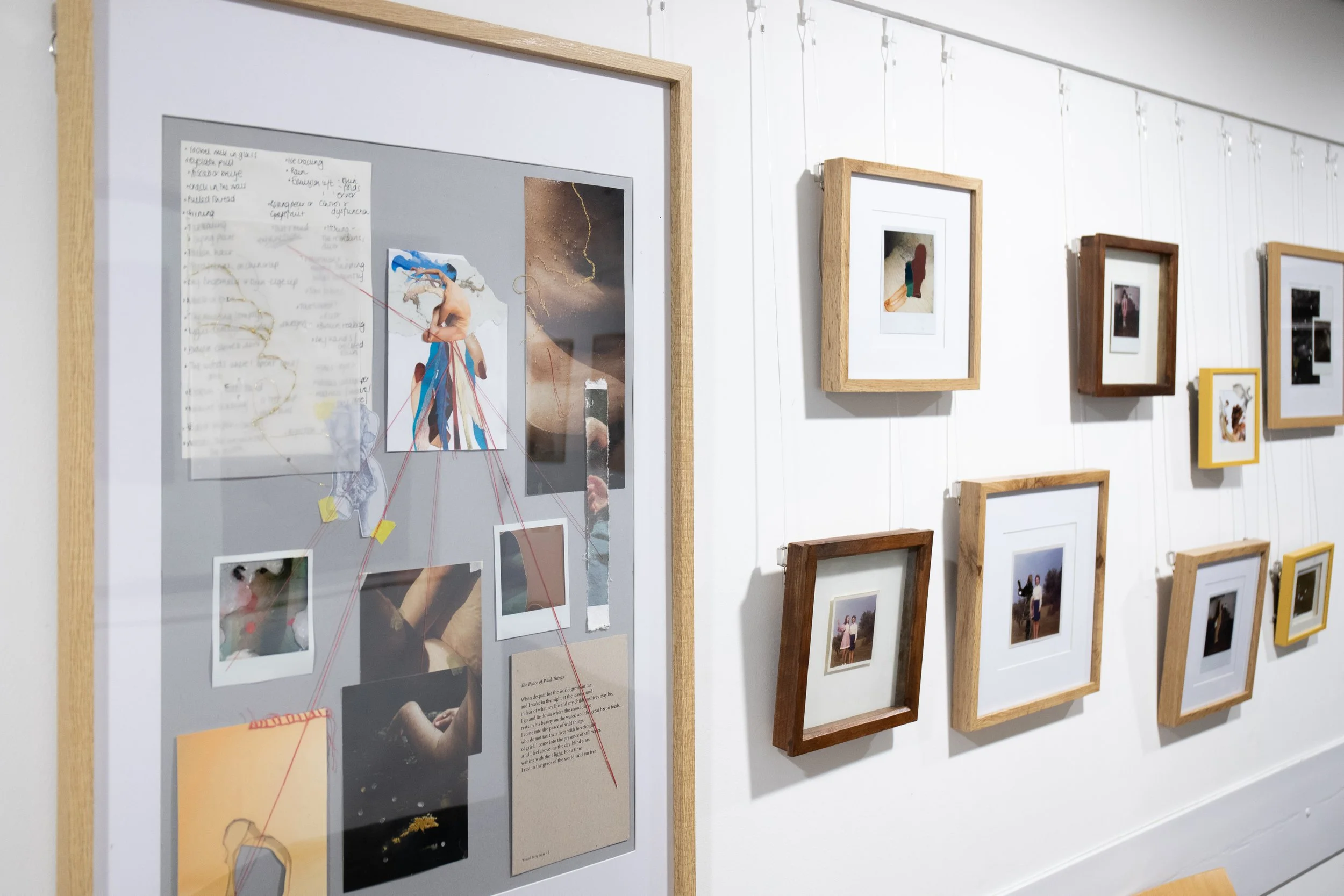 Inherited Bodies: A Semi-Retrospective Exhibition by Carli Adby