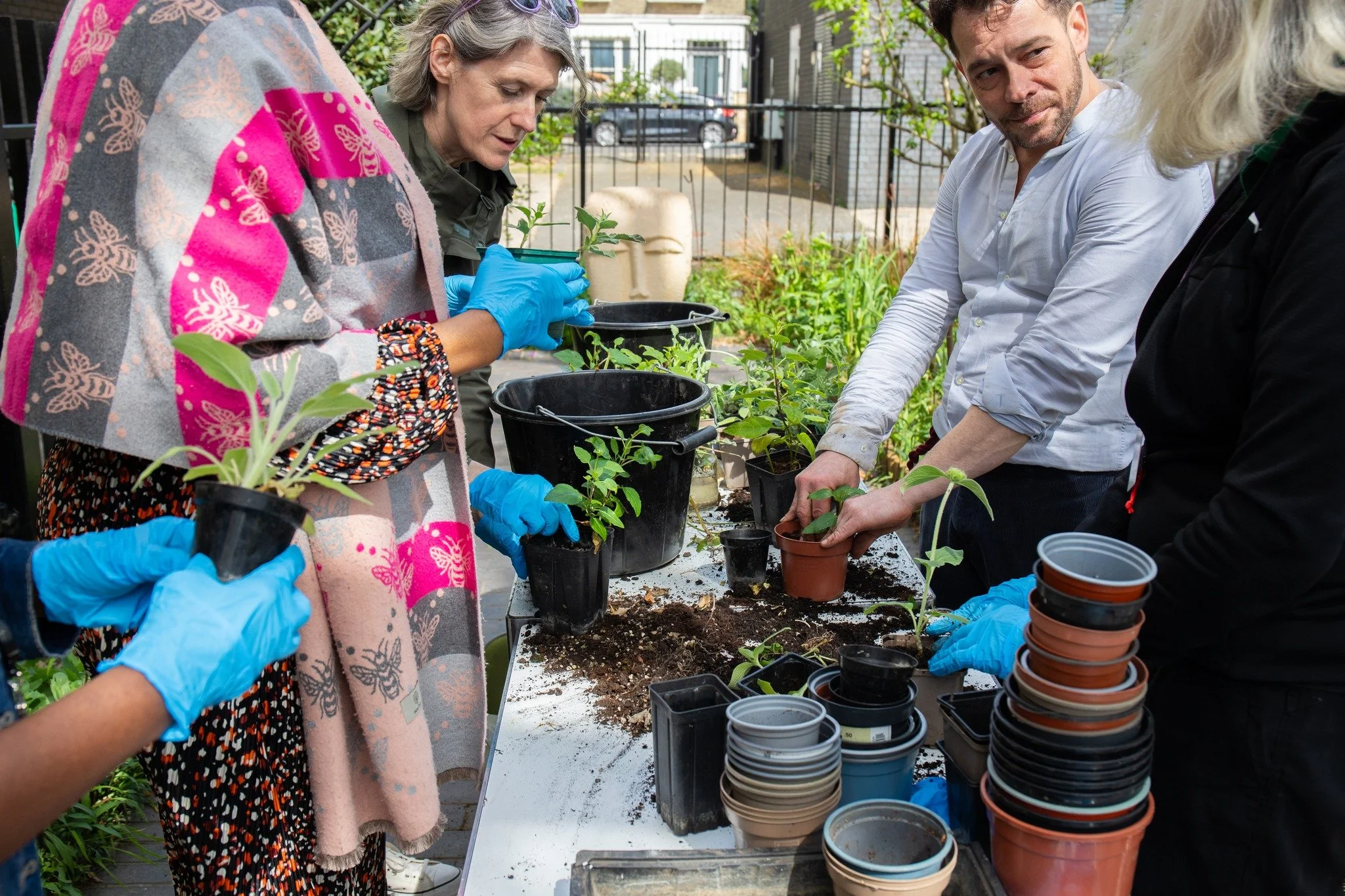 As Spring is now in session, our Wellbeeing Garden is receiving much deserved love, care and appreciation 🌷

Joining our Wellbeing Garden this time was Camden's very own INT (East Integrated Neighbourhood Team). 

Launched back in October 2024, the 